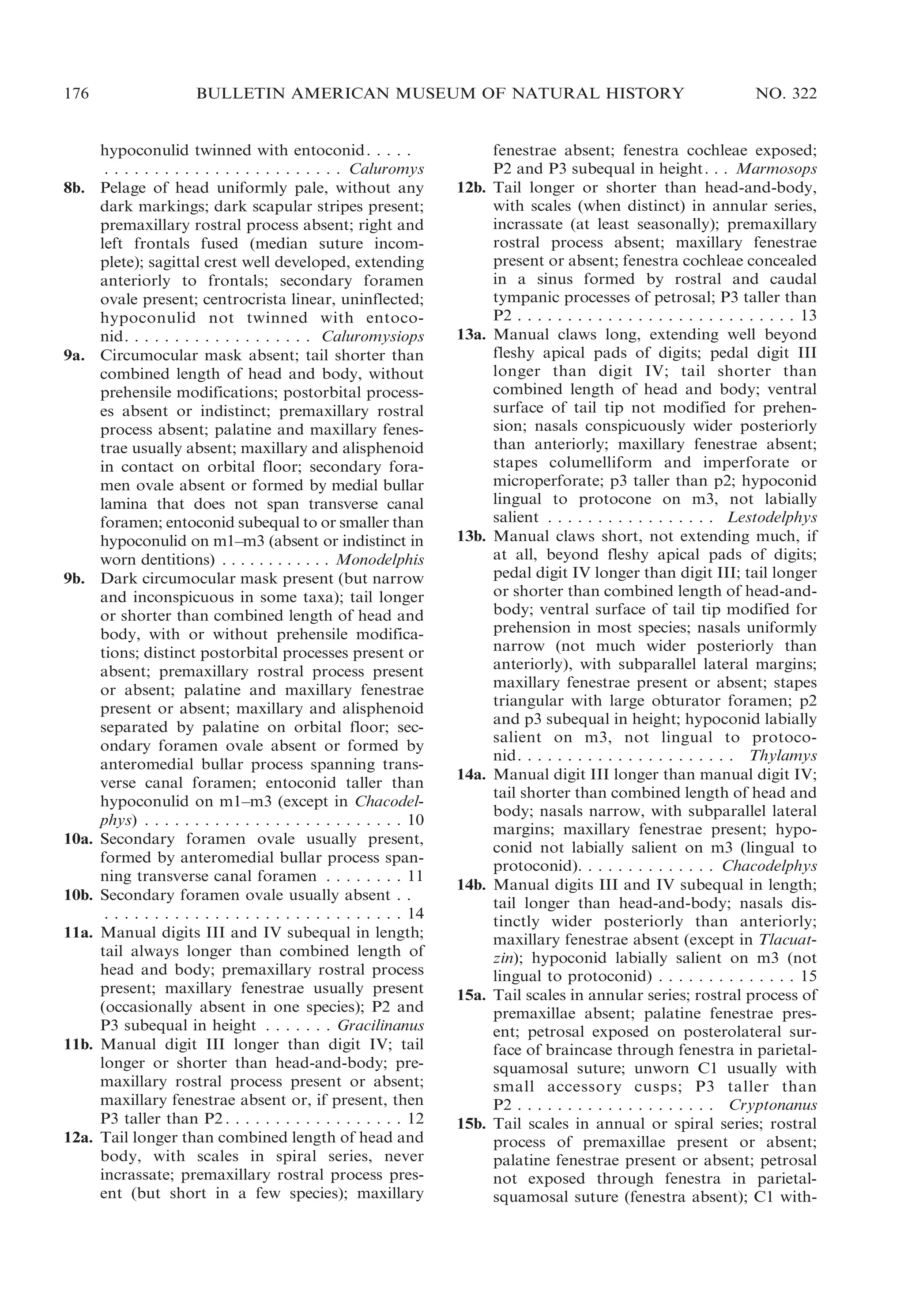 176

8b.

9a.

9b.

10a.

10b.
11a.

11b.

12a.

BULLETIN AMERICAN MUSEUM OF NATURAL HISTORY

hypoconulid twinned with entoconid. . . . .
. . . . . . . . . . . . . . . . . . . . . . . . Caluromys
Pelage of head uniformly pale, without any
dark markings; dark scapular stripes present;
premaxillary rostral process absent; right and
left frontals fused (median suture incomplete); sagittal crest well developed, extending
anteriorly to frontals; secondary foramen
ovale present; centrocrista linear, uninflected;
hypoconulid not twinned with entoconid. . . . . . . . . . . . . . . . . . . Caluromysiops
Circumocular mask absent; tail shorter than
combined length of head and body, without
prehensile modifications; postorbital processes absent or indistinct; premaxillary rostral
process absent; palatine and maxillary fenestrae usually absent; maxillary and alisphenoid
in contact on orbital floor; secondary foramen ovale absent or formed by medial bullar
lamina that does not span transverse canal
foramen; entoconid subequal to or smaller than
hypoconulid on m1–m3 (absent or indistinct in
worn dentitions) . . . . . . . . . . . . Monodelphis
Dark circumocular mask present (but narrow
and inconspicuous in some taxa); tail longer
or shorter than combined length of head and
body, with or without prehensile modifications; distinct postorbital processes present or
absent; premaxillary rostral process present
or absent; palatine and maxillary fenestrae
present or absent; maxillary and alisphenoid
separated by palatine on orbital floor; secondary foramen ovale absent or formed by
anteromedial bullar process spanning transverse canal foramen; entoconid taller than
hypoconulid on m1–m3 (except in Chacodelphys) . . . . . . . . . . . . . . . . . . . . . . . . . . 10
Secondary foramen ovale usually present,
formed by anteromedial bullar process spanning transverse canal foramen . . . . . . . . 11
Secondary foramen ovale usually absent . .
. . . . . . . . . . . . . . . . . . . . . . . . . . . . . . 14
Manual digits III and IV subequal in length;
tail always longer than combined length of
head and body; premaxillary rostral process
present; maxillary fenestrae usually present
(occasionally absent in one species); P2 and
P3 subequal in height . . . . . . . Gracilinanus
Manual digit III longer than digit IV; tail
longer or shorter than head-and-body; premaxillary rostral process present or absent;
maxillary fenestrae absent or, if present, then
P3 taller than P2 . . . . . . . . . . . . . . . . . . 12
Tail longer than combined length of head and
body, with scales in spiral series, never
incrassate; premaxillary rostral process present (but short in a few species); maxillary

12b.

13a.

13b.

14a.

14b.

15a.

15b.

NO. 322

fenestrae absent; fenestra cochleae exposed;
P2 and P3 subequal in height. . . Marmosops
Tail longer or shorter than head-and-body,
with scales (when distinct) in annular series,
incrassate (at least seasonally); premaxillary
rostral process absent; maxillary fenestrae
present or absent; fenestra cochleae concealed
in a sinus formed by rostral and caudal
tympanic processes of petrosal; P3 taller than
P2 . . . . . . . . . . . . . . . . . . . . . . . . . . . . 13
Manual claws long, extending well beyond
fleshy apical pads of digits; pedal digit III
longer than digit IV; tail shorter than
combined length of head and body; ventral
surface of tail tip not modified for prehension; nasals conspicuously wider posteriorly
than anteriorly; maxillary fenestrae absent;
stapes columelliform and imperforate or
microperforate; p3 taller than p2; hypoconid
lingual to protocone on m3, not labially
salient . . . . . . . . . . . . . . . . . Lestodelphys
Manual claws short, not extending much, if
at all, beyond fleshy apical pads of digits;
pedal digit IV longer than digit III; tail longer
or shorter than combined length of head-andbody; ventral surface of tail tip modified for
prehension in most species; nasals uniformly
narrow (not much wider posteriorly than
anteriorly), with subparallel lateral margins;
maxillary fenestrae present or absent; stapes
triangular with large obturator foramen; p2
and p3 subequal in height; hypoconid labially
salient on m3, not lingual to protoconid. . . . . . . . . . . . . . . . . . . . . . Thylamys
Manual digit III longer than manual digit IV;
tail shorter than combined length of head and
body; nasals narrow, with subparallel lateral
margins; maxillary fenestrae present; hypoconid not labially salient on m3 (lingual to
protoconid). . . . . . . . . . . . . . Chacodelphys
Manual digits III and IV subequal in length;
tail longer than head-and-body; nasals distinctly wider posteriorly than anteriorly;
maxillary fenestrae absent (except in Tlacuatzin); hypoconid labially salient on m3 (not
lingual to protoconid) . . . . . . . . . . . . . . 15
Tail scales in annular series; rostral process of
premaxillae absent; palatine fenestrae present; petrosal exposed on posterolateral surface of braincase through fenestra in parietalsquamosal suture; unworn C1 usually with
small accessory cusps; P3 taller than
P2 . . . . . . . . . . . . . . . . . . . . Cryptonanus
Tail scales in annual or spiral series; rostral
process of premaxillae present or absent;
palatine fenestrae present or absent; petrosal
not exposed through fenestra in parietalsquamosal suture (fenestra absent); C1 with-

 
