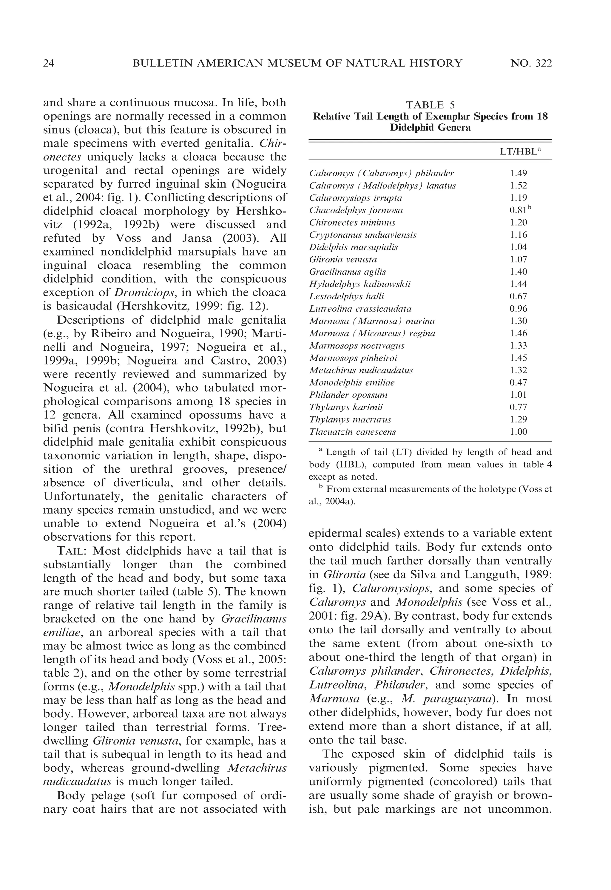 24

BULLETIN AMERICAN MUSEUM OF NATURAL HISTORY

and share a continuous mucosa. In life, both
openings are normally recessed in a common
sinus (cloaca), but this feature is obscured in
male specimens with everted genitalia. Chironectes uniquely lacks a cloaca because the
urogenital and rectal openings are widely
separated by furred inguinal skin (Nogueira
et al., 2004: fig. 1). Conflicting descriptions of
didelphid cloacal morphology by Hershkovitz (1992a, 1992b) were discussed and
refuted by Voss and Jansa (2003). All
examined nondidelphid marsupials have an
inguinal cloaca resembling the common
didelphid condition, with the conspicuous
exception of Dromiciops, in which the cloaca
is basicaudal (Hershkovitz, 1999: fig. 12).
Descriptions of didelphid male genitalia
(e.g., by Ribeiro and Nogueira, 1990; Martinelli and Nogueira, 1997; Nogueira et al.,
1999a, 1999b; Nogueira and Castro, 2003)
were recently reviewed and summarized by
Nogueira et al. (2004), who tabulated morphological comparisons among 18 species in
12 genera. All examined opossums have a
bifid penis (contra Hershkovitz, 1992b), but
didelphid male genitalia exhibit conspicuous
taxonomic variation in length, shape, disposition of the urethral grooves, presence/
absence of diverticula, and other details.
Unfortunately, the genitalic characters of
many species remain unstudied, and we were
unable to extend Nogueira et al.’s (2004)
observations for this report.
TAIL: Most didelphids have a tail that is
substantially longer than the combined
length of the head and body, but some taxa
are much shorter tailed (table 5). The known
range of relative tail length in the family is
bracketed on the one hand by Gracilinanus
emiliae, an arboreal species with a tail that
may be almost twice as long as the combined
length of its head and body (Voss et al., 2005:
table 2), and on the other by some terrestrial
forms (e.g., Monodelphis spp.) with a tail that
may be less than half as long as the head and
body. However, arboreal taxa are not always
longer tailed than terrestrial forms. Treedwelling Glironia venusta, for example, has a
tail that is subequal in length to its head and
body, whereas ground-dwelling Metachirus
nudicaudatus is much longer tailed.
Body pelage (soft fur composed of ordinary coat hairs that are not associated with

NO. 322

TABLE 5
Relative Tail Length of Exemplar Species from 18
Didelphid Genera
LT/HBLa
Caluromys (Caluromys) philander
Caluromys (Mallodelphys) lanatus
Caluromysiops irrupta
Chacodelphys formosa
Chironectes minimus
Cryptonanus unduaviensis
Didelphis marsupialis
Glironia venusta
Gracilinanus agilis
Hyladelphys kalinowskii
Lestodelphys halli
Lutreolina crassicaudata
Marmosa (Marmosa) murina
Marmosa (Micoureus) regina
Marmosops noctivagus
Marmosops pinheiroi
Metachirus nudicaudatus
Monodelphis emiliae
Philander opossum
Thylamys karimii
Thylamys macrurus
Tlacuatzin canescens

1.49
1.52
1.19
0.81b
1.20
1.16
1.04
1.07
1.40
1.44
0.67
0.96
1.30
1.46
1.33
1.45
1.32
0.47
1.01
0.77
1.29
1.00

a
Length of tail (LT) divided by length of head and
body (HBL), computed from mean values in table 4
except as noted.
b
From external measurements of the holotype (Voss et
al., 2004a).

epidermal scales) extends to a variable extent
onto didelphid tails. Body fur extends onto
the tail much farther dorsally than ventrally
in Glironia (see da Silva and Langguth, 1989:
fig. 1), Caluromysiops, and some species of
Caluromys and Monodelphis (see Voss et al.,
2001: fig. 29A). By contrast, body fur extends
onto the tail dorsally and ventrally to about
the same extent (from about one-sixth to
about one-third the length of that organ) in
Caluromys philander, Chironectes, Didelphis,
Lutreolina, Philander, and some species of
Marmosa (e.g., M. paraguayana). In most
other didelphids, however, body fur does not
extend more than a short distance, if at all,
onto the tail base.
The exposed skin of didelphid tails is
variously pigmented. Some species have
uniformly pigmented (concolored) tails that
are usually some shade of grayish or brownish, but pale markings are not uncommon.

 