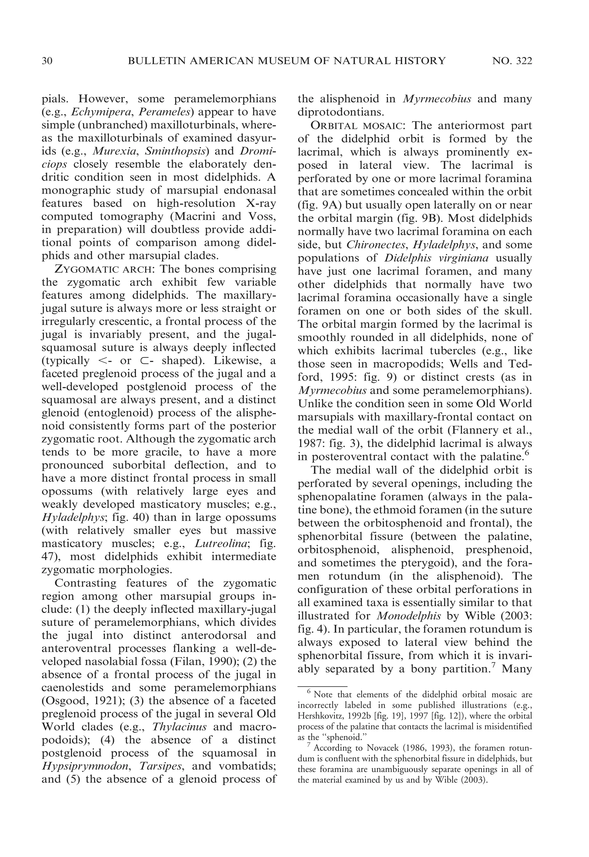 30

BULLETIN AMERICAN MUSEUM OF NATURAL HISTORY

pials. However, some peramelemorphians
(e.g., Echymipera, Perameles) appear to have
simple (unbranched) maxilloturbinals, whereas the maxilloturbinals of examined dasyurids (e.g., Murexia, Sminthopsis) and Dromiciops closely resemble the elaborately dendritic condition seen in most didelphids. A
monographic study of marsupial endonasal
features based on high-resolution X-ray
computed tomography (Macrini and Voss,
in preparation) will doubtless provide additional points of comparison among didelphids and other marsupial clades.
ZYGOMATIC ARCH: The bones comprising
the zygomatic arch exhibit few variable
features among didelphids. The maxillaryjugal suture is always more or less straight or
irregularly crescentic, a frontal process of the
jugal is invariably present, and the jugalsquamosal suture is always deeply inflected
(typically ,- or ,- shaped). Likewise, a
faceted preglenoid process of the jugal and a
well-developed postglenoid process of the
squamosal are always present, and a distinct
glenoid (entoglenoid) process of the alisphenoid consistently forms part of the posterior
zygomatic root. Although the zygomatic arch
tends to be more gracile, to have a more
pronounced suborbital deflection, and to
have a more distinct frontal process in small
opossums (with relatively large eyes and
weakly developed masticatory muscles; e.g.,
Hyladelphys; fig. 40) than in large opossums
(with relatively smaller eyes but massive
masticatory muscles; e.g., Lutreolina; fig.
47), most didelphids exhibit intermediate
zygomatic morphologies.
Contrasting features of the zygomatic
region among other marsupial groups include: (1) the deeply inflected maxillary-jugal
suture of peramelemorphians, which divides
the jugal into distinct anterodorsal and
anteroventral processes flanking a well-developed nasolabial fossa (Filan, 1990); (2) the
absence of a frontal process of the jugal in
caenolestids and some peramelemorphians
(Osgood, 1921); (3) the absence of a faceted
preglenoid process of the jugal in several Old
World clades (e.g., Thylacinus and macropodoids); (4) the absence of a distinct
postglenoid process of the squamosal in
Hypsiprymnodon, Tarsipes, and vombatids;
and (5) the absence of a glenoid process of

NO. 322

the alisphenoid in Myrmecobius and many
diprotodontians.
ORBITAL MOSAIC: The anteriormost part
of the didelphid orbit is formed by the
lacrimal, which is always prominently exposed in lateral view. The lacrimal is
perforated by one or more lacrimal foramina
that are sometimes concealed within the orbit
(fig. 9A) but usually open laterally on or near
the orbital margin (fig. 9B). Most didelphids
normally have two lacrimal foramina on each
side, but Chironectes, Hyladelphys, and some
populations of Didelphis virginiana usually
have just one lacrimal foramen, and many
other didelphids that normally have two
lacrimal foramina occasionally have a single
foramen on one or both sides of the skull.
The orbital margin formed by the lacrimal is
smoothly rounded in all didelphids, none of
which exhibits lacrimal tubercles (e.g., like
those seen in macropodids; Wells and Tedford, 1995: fig. 9) or distinct crests (as in
Myrmecobius and some peramelemorphians).
Unlike the condition seen in some Old World
marsupials with maxillary-frontal contact on
the medial wall of the orbit (Flannery et al.,
1987: fig. 3), the didelphid lacrimal is always
in posteroventral contact with the palatine.6
The medial wall of the didelphid orbit is
perforated by several openings, including the
sphenopalatine foramen (always in the palatine bone), the ethmoid foramen (in the suture
between the orbitosphenoid and frontal), the
sphenorbital fissure (between the palatine,
orbitosphenoid, alisphenoid, presphenoid,
and sometimes the pterygoid), and the foramen rotundum (in the alisphenoid). The
configuration of these orbital perforations in
all examined taxa is essentially similar to that
illustrated for Monodelphis by Wible (2003:
fig. 4). In particular, the foramen rotundum is
always exposed to lateral view behind the
sphenorbital fissure, from which it is invariably separated by a bony partition.7 Many
6
Note that elements of the didelphid orbital mosaic are
incorrectly labeled in some published illustrations (e.g.,
Hershkovitz, 1992b [fig. 19], 1997 [fig. 12]), where the orbital
process of the palatine that contacts the lacrimal is misidentified
as the ‘‘sphenoid.’’
7
According to Novacek (1986, 1993), the foramen rotundum is confluent with the sphenorbital fissure in didelphids, but
these foramina are unambiguously separate openings in all of
the material examined by us and by Wible (2003).

 