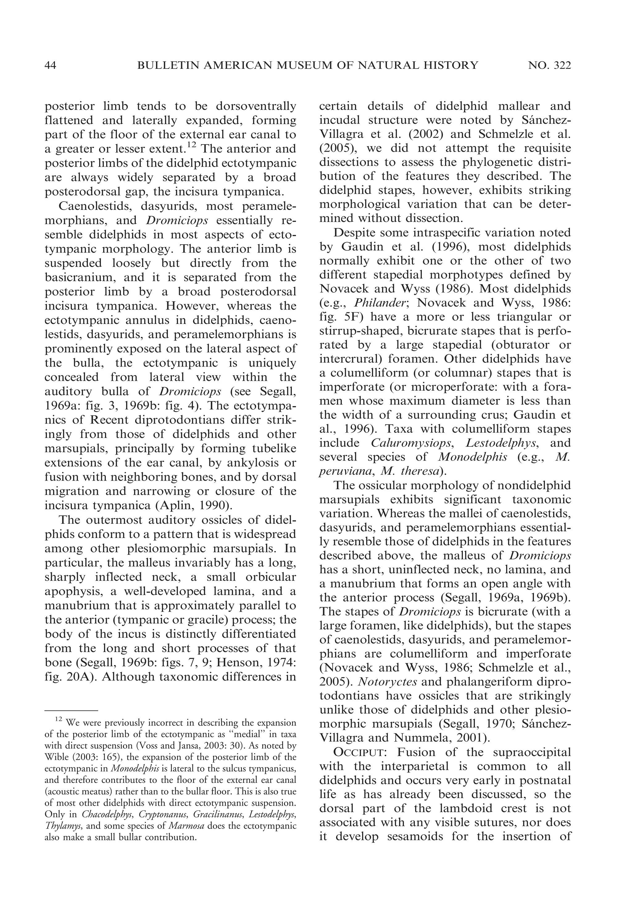 44

BULLETIN AMERICAN MUSEUM OF NATURAL HISTORY

posterior limb tends to be dorsoventrally
flattened and laterally expanded, forming
part of the floor of the external ear canal to
a greater or lesser extent.12 The anterior and
posterior limbs of the didelphid ectotympanic
are always widely separated by a broad
posterodorsal gap, the incisura tympanica.
Caenolestids, dasyurids, most peramelemorphians, and Dromiciops essentially resemble didelphids in most aspects of ectotympanic morphology. The anterior limb is
suspended loosely but directly from the
basicranium, and it is separated from the
posterior limb by a broad posterodorsal
incisura tympanica. However, whereas the
ectotympanic annulus in didelphids, caenolestids, dasyurids, and peramelemorphians is
prominently exposed on the lateral aspect of
the bulla, the ectotympanic is uniquely
concealed from lateral view within the
auditory bulla of Dromiciops (see Segall,
1969a: fig. 3, 1969b: fig. 4). The ectotympanics of Recent diprotodontians differ strikingly from those of didelphids and other
marsupials, principally by forming tubelike
extensions of the ear canal, by ankylosis or
fusion with neighboring bones, and by dorsal
migration and narrowing or closure of the
incisura tympanica (Aplin, 1990).
The outermost auditory ossicles of didelphids conform to a pattern that is widespread
among other plesiomorphic marsupials. In
particular, the malleus invariably has a long,
sharply inflected neck, a small orbicular
apophysis, a well-developed lamina, and a
manubrium that is approximately parallel to
the anterior (tympanic or gracile) process; the
body of the incus is distinctly differentiated
from the long and short processes of that
bone (Segall, 1969b: figs. 7, 9; Henson, 1974:
fig. 20A). Although taxonomic differences in

12
We were previously incorrect in describing the expansion
of the posterior limb of the ectotympanic as ‘‘medial’’ in taxa
with direct suspension (Voss and Jansa, 2003: 30). As noted by
Wible (2003: 165), the expansion of the posterior limb of the
ectotympanic in Monodelphis is lateral to the sulcus tympanicus,
and therefore contributes to the floor of the external ear canal
(acoustic meatus) rather than to the bullar floor. This is also true
of most other didelphids with direct ectotympanic suspension.
Only in Chacodelphys, Cryptonanus, Gracilinanus, Lestodelphys,
Thylamys, and some species of Marmosa does the ectotympanic
also make a small bullar contribution.

NO. 322

certain details of didelphid mallear and
incudal structure were noted by Sanchez´
Villagra et al. (2002) and Schmelzle et al.
(2005), we did not attempt the requisite
dissections to assess the phylogenetic distribution of the features they described. The
didelphid stapes, however, exhibits striking
morphological variation that can be determined without dissection.
Despite some intraspecific variation noted
by Gaudin et al. (1996), most didelphids
normally exhibit one or the other of two
different stapedial morphotypes defined by
Novacek and Wyss (1986). Most didelphids
(e.g., Philander; Novacek and Wyss, 1986:
fig. 5F) have a more or less triangular or
stirrup-shaped, bicrurate stapes that is perforated by a large stapedial (obturator or
intercrural) foramen. Other didelphids have
a columelliform (or columnar) stapes that is
imperforate (or microperforate: with a foramen whose maximum diameter is less than
the width of a surrounding crus; Gaudin et
al., 1996). Taxa with columelliform stapes
include Caluromysiops, Lestodelphys, and
several species of Monodelphis (e.g., M.
peruviana, M. theresa).
The ossicular morphology of nondidelphid
marsupials exhibits significant taxonomic
variation. Whereas the mallei of caenolestids,
dasyurids, and peramelemorphians essentially resemble those of didelphids in the features
described above, the malleus of Dromiciops
has a short, uninflected neck, no lamina, and
a manubrium that forms an open angle with
the anterior process (Segall, 1969a, 1969b).
The stapes of Dromiciops is bicrurate (with a
large foramen, like didelphids), but the stapes
of caenolestids, dasyurids, and peramelemorphians are columelliform and imperforate
(Novacek and Wyss, 1986; Schmelzle et al.,
2005). Notoryctes and phalangeriform diprotodontians have ossicles that are strikingly
unlike those of didelphids and other plesiomorphic marsupials (Segall, 1970; Sanchez´
Villagra and Nummela, 2001).
OCCIPUT: Fusion of the supraoccipital
with the interparietal is common to all
didelphids and occurs very early in postnatal
life as has already been discussed, so the
dorsal part of the lambdoid crest is not
associated with any visible sutures, nor does
it develop sesamoids for the insertion of

 