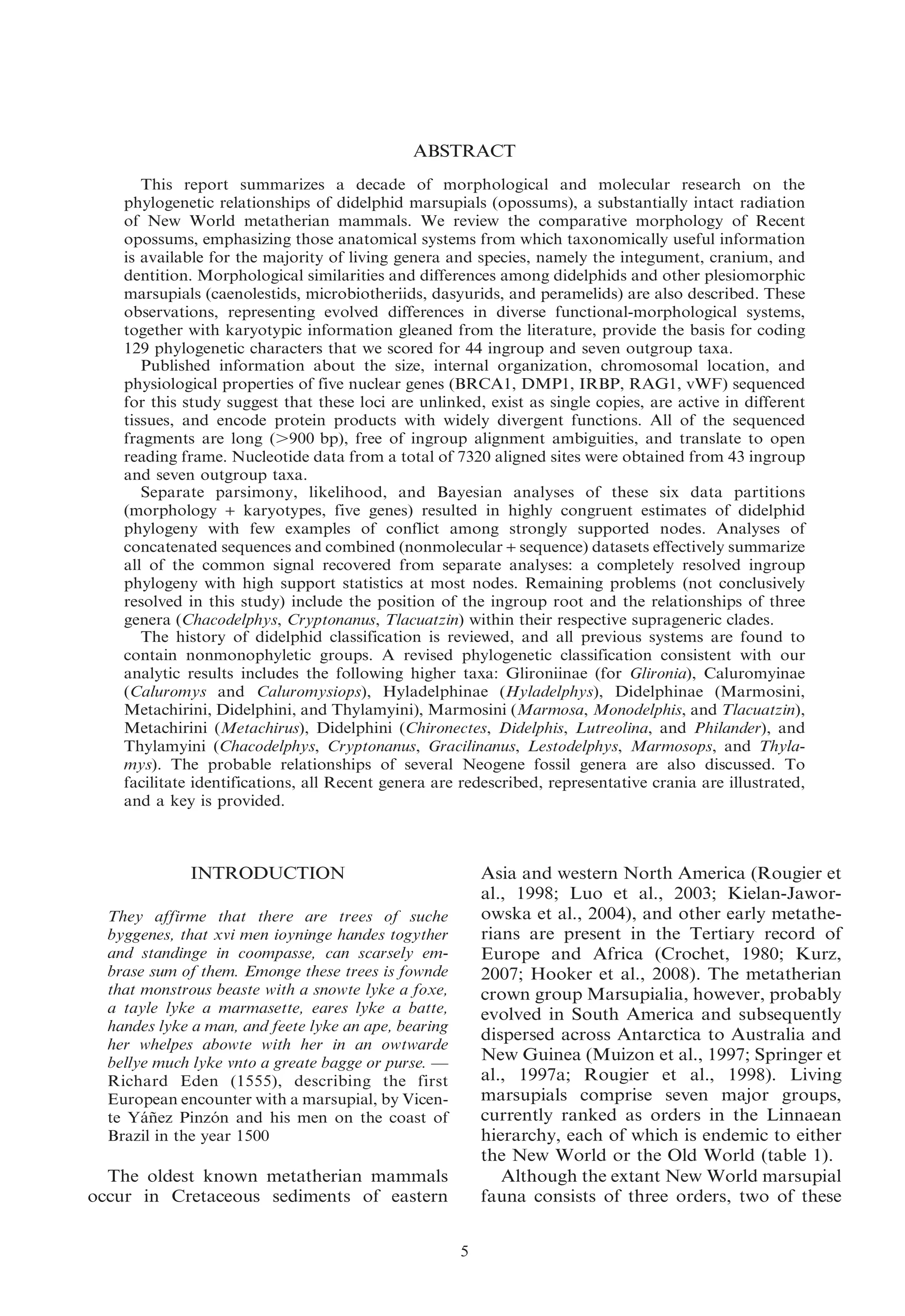 ABSTRACT
This report summarizes a decade of morphological and molecular research on the
phylogenetic relationships of didelphid marsupials (opossums), a substantially intact radiation
of New World metatherian mammals. We review the comparative morphology of Recent
opossums, emphasizing those anatomical systems from which taxonomically useful information
is available for the majority of living genera and species, namely the integument, cranium, and
dentition. Morphological similarities and differences among didelphids and other plesiomorphic
marsupials (caenolestids, microbiotheriids, dasyurids, and peramelids) are also described. These
observations, representing evolved differences in diverse functional-morphological systems,
together with karyotypic information gleaned from the literature, provide the basis for coding
129 phylogenetic characters that we scored for 44 ingroup and seven outgroup taxa.
Published information about the size, internal organization, chromosomal location, and
physiological properties of five nuclear genes (BRCA1, DMP1, IRBP, RAG1, vWF) sequenced
for this study suggest that these loci are unlinked, exist as single copies, are active in different
tissues, and encode protein products with widely divergent functions. All of the sequenced
fragments are long (.900 bp), free of ingroup alignment ambiguities, and translate to open
reading frame. Nucleotide data from a total of 7320 aligned sites were obtained from 43 ingroup
and seven outgroup taxa.
Separate parsimony, likelihood, and Bayesian analyses of these six data partitions
(morphology + karyotypes, five genes) resulted in highly congruent estimates of didelphid
phylogeny with few examples of conflict among strongly supported nodes. Analyses of
concatenated sequences and combined (nonmolecular + sequence) datasets effectively summarize
all of the common signal recovered from separate analyses: a completely resolved ingroup
phylogeny with high support statistics at most nodes. Remaining problems (not conclusively
resolved in this study) include the position of the ingroup root and the relationships of three
genera (Chacodelphys, Cryptonanus, Tlacuatzin) within their respective suprageneric clades.
The history of didelphid classification is reviewed, and all previous systems are found to
contain nonmonophyletic groups. A revised phylogenetic classification consistent with our
analytic results includes the following higher taxa: Glironiinae (for Glironia), Caluromyinae
(Caluromys and Caluromysiops), Hyladelphinae (Hyladelphys), Didelphinae (Marmosini,
Metachirini, Didelphini, and Thylamyini), Marmosini (Marmosa, Monodelphis, and Tlacuatzin),
Metachirini (Metachirus), Didelphini (Chironectes, Didelphis, Lutreolina, and Philander), and
Thylamyini (Chacodelphys, Cryptonanus, Gracilinanus, Lestodelphys, Marmosops, and Thylamys). The probable relationships of several Neogene fossil genera are also discussed. To
facilitate identifications, all Recent genera are redescribed, representative crania are illustrated,
and a key is provided.

INTRODUCTION

Asia and western North America (Rougier et
al., 1998; Luo et al., 2003; Kielan-Jaworowska et al., 2004), and other early metatherians are present in the Tertiary record of
Europe and Africa (Crochet, 1980; Kurz,
2007; Hooker et al., 2008). The metatherian
crown group Marsupialia, however, probably
evolved in South America and subsequently
dispersed across Antarctica to Australia and
New Guinea (Muizon et al., 1997; Springer et
al., 1997a; Rougier et al., 1998). Living
marsupials comprise seven major groups,
currently ranked as orders in the Linnaean
hierarchy, each of which is endemic to either
the New World or the Old World (table 1).
Although the extant New World marsupial
fauna consists of three orders, two of these

They affirme that there are trees of suche
byggenes, that xvi men ioyninge handes togyther
and standinge in coompasse, can scarsely embrase sum of them. Emonge these trees is fownde
that monstrous beaste with a snowte lyke a foxe,
a tayle lyke a marmasette, eares lyke a batte,
handes lyke a man, and feete lyke an ape, bearing
her whelpes abowte with her in an owtwarde
bellye much lyke vnto a greate bagge or purse. —
Richard Eden (1555), describing the first
European encounter with a marsupial, by Vicente Yanez Pinzon and his men on the coast of
´˜
´
Brazil in the year 1500

The oldest known metatherian mammals
occur in Cretaceous sediments of eastern
5

 