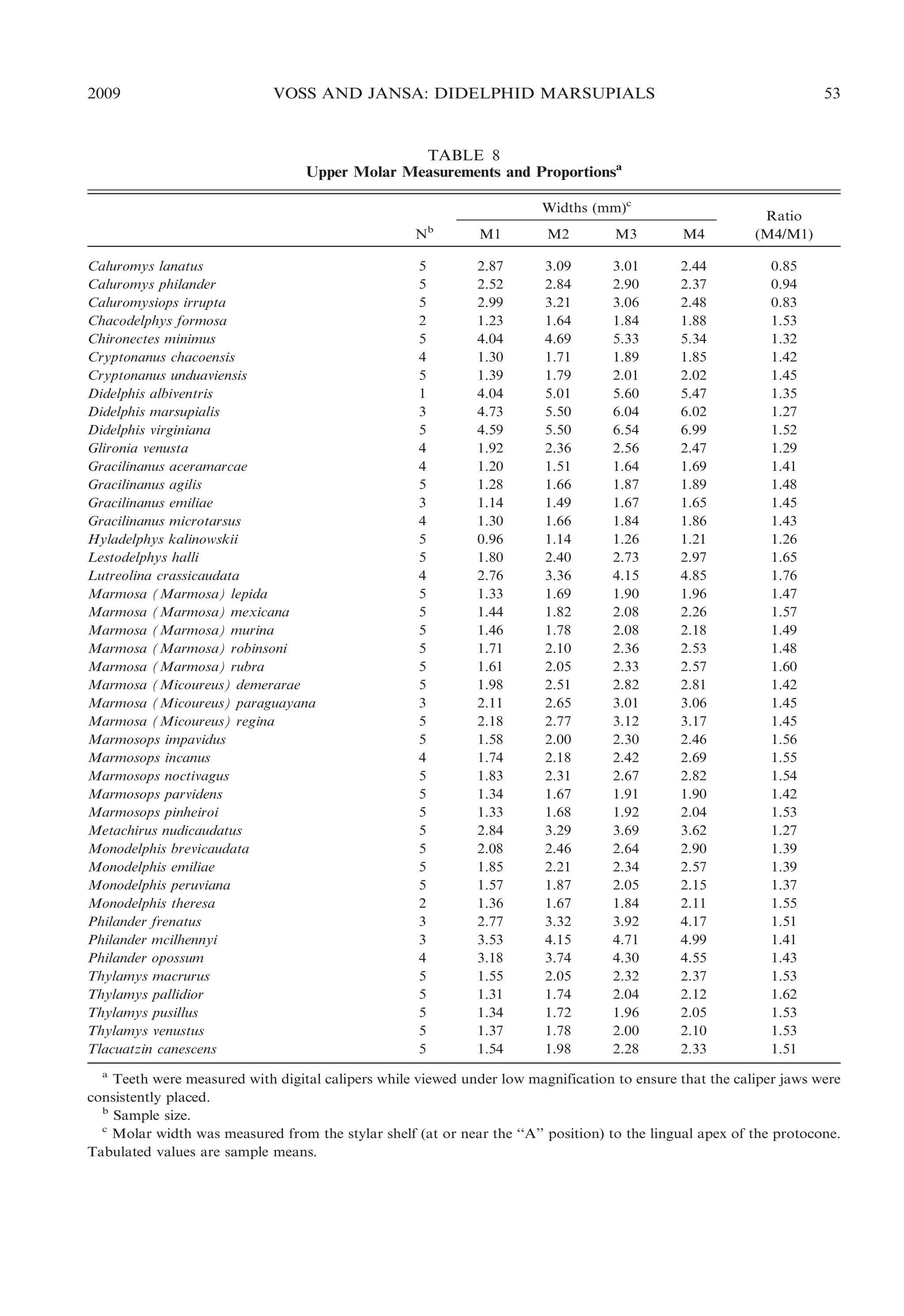 2009

VOSS AND JANSA: DIDELPHID MARSUPIALS

53

TABLE 8
Upper Molar Measurements and Proportionsa
Widths (mm)c
N
Caluromys lanatus
Caluromys philander
Caluromysiops irrupta
Chacodelphys formosa
Chironectes minimus
Cryptonanus chacoensis
Cryptonanus unduaviensis
Didelphis albiventris
Didelphis marsupialis
Didelphis virginiana
Glironia venusta
Gracilinanus aceramarcae
Gracilinanus agilis
Gracilinanus emiliae
Gracilinanus microtarsus
Hyladelphys kalinowskii
Lestodelphys halli
Lutreolina crassicaudata
Marmosa (Marmosa) lepida
Marmosa (Marmosa) mexicana
Marmosa (Marmosa) murina
Marmosa (Marmosa) robinsoni
Marmosa (Marmosa) rubra
Marmosa (Micoureus) demerarae
Marmosa (Micoureus) paraguayana
Marmosa (Micoureus) regina
Marmosops impavidus
Marmosops incanus
Marmosops noctivagus
Marmosops parvidens
Marmosops pinheiroi
Metachirus nudicaudatus
Monodelphis brevicaudata
Monodelphis emiliae
Monodelphis peruviana
Monodelphis theresa
Philander frenatus
Philander mcilhennyi
Philander opossum
Thylamys macrurus
Thylamys pallidior
Thylamys pusillus
Thylamys venustus
Tlacuatzin canescens

5
5
5
2
5
4
5
1
3
5
4
4
5
3
4
5
5
4
5
5
5
5
5
5
3
5
5
4
5
5
5
5
5
5
5
2
3
3
4
5
5
5
5
5

b

M1

M2

M3

M4

Ratio
(M4/M1)

2.87
2.52
2.99
1.23
4.04
1.30
1.39
4.04
4.73
4.59
1.92
1.20
1.28
1.14
1.30
0.96
1.80
2.76
1.33
1.44
1.46
1.71
1.61
1.98
2.11
2.18
1.58
1.74
1.83
1.34
1.33
2.84
2.08
1.85
1.57
1.36
2.77
3.53
3.18
1.55
1.31
1.34
1.37
1.54

3.09
2.84
3.21
1.64
4.69
1.71
1.79
5.01
5.50
5.50
2.36
1.51
1.66
1.49
1.66
1.14
2.40
3.36
1.69
1.82
1.78
2.10
2.05
2.51
2.65
2.77
2.00
2.18
2.31
1.67
1.68
3.29
2.46
2.21
1.87
1.67
3.32
4.15
3.74
2.05
1.74
1.72
1.78
1.98

3.01
2.90
3.06
1.84
5.33
1.89
2.01
5.60
6.04
6.54
2.56
1.64
1.87
1.67
1.84
1.26
2.73
4.15
1.90
2.08
2.08
2.36
2.33
2.82
3.01
3.12
2.30
2.42
2.67
1.91
1.92
3.69
2.64
2.34
2.05
1.84
3.92
4.71
4.30
2.32
2.04
1.96
2.00
2.28

2.44
2.37
2.48
1.88
5.34
1.85
2.02
5.47
6.02
6.99
2.47
1.69
1.89
1.65
1.86
1.21
2.97
4.85
1.96
2.26
2.18
2.53
2.57
2.81
3.06
3.17
2.46
2.69
2.82
1.90
2.04
3.62
2.90
2.57
2.15
2.11
4.17
4.99
4.55
2.37
2.12
2.05
2.10
2.33

0.85
0.94
0.83
1.53
1.32
1.42
1.45
1.35
1.27
1.52
1.29
1.41
1.48
1.45
1.43
1.26
1.65
1.76
1.47
1.57
1.49
1.48
1.60
1.42
1.45
1.45
1.56
1.55
1.54
1.42
1.53
1.27
1.39
1.39
1.37
1.55
1.51
1.41
1.43
1.53
1.62
1.53
1.53
1.51

a
Teeth were measured with digital calipers while viewed under low magnification to ensure that the caliper jaws were
consistently placed.
b
Sample size.
c
Molar width was measured from the stylar shelf (at or near the ‘‘A’’ position) to the lingual apex of the protocone.
Tabulated values are sample means.

 