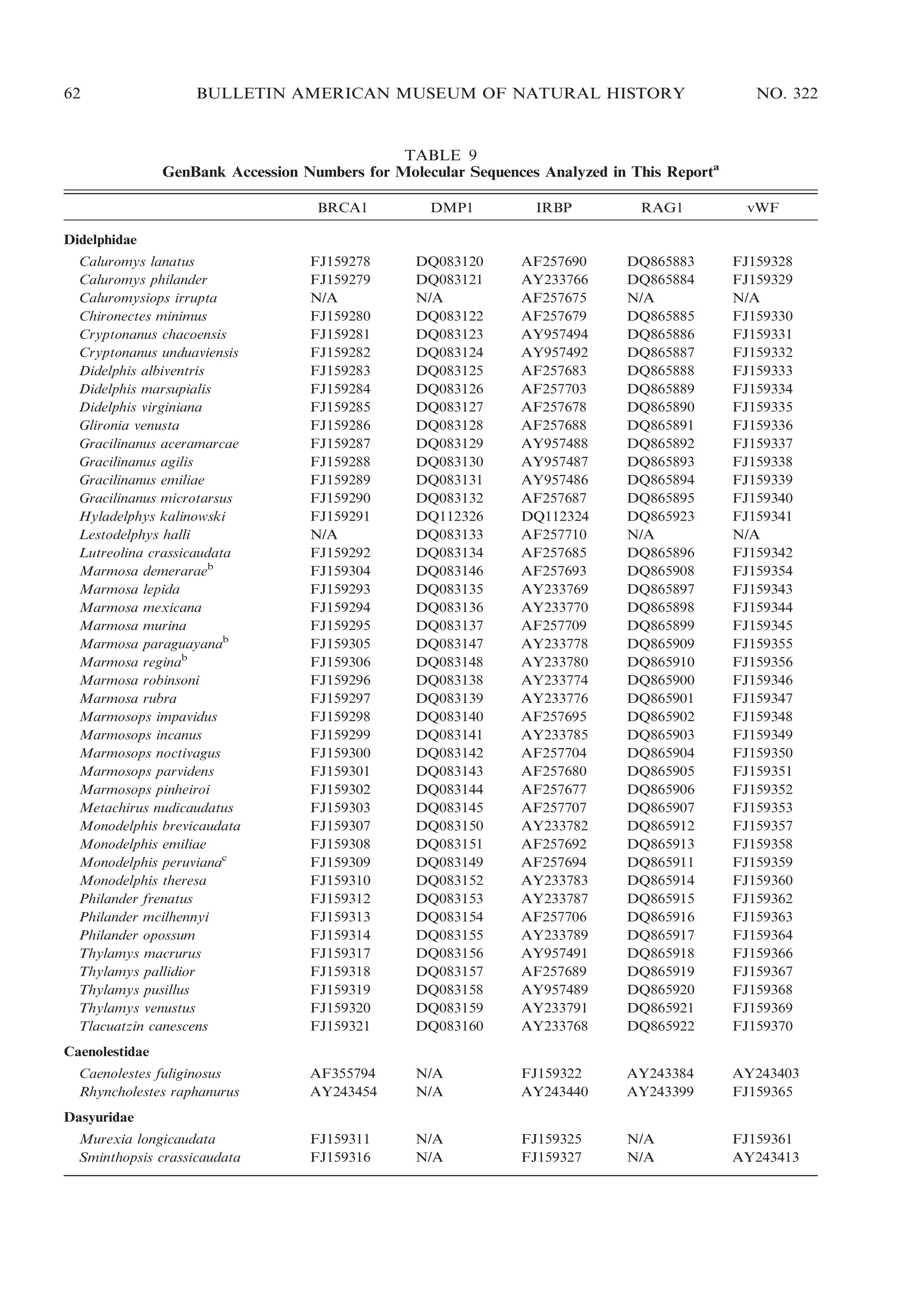 62

BULLETIN AMERICAN MUSEUM OF NATURAL HISTORY

NO. 322

TABLE 9
GenBank Accession Numbers for Molecular Sequences Analyzed in This Reporta
BRCA1

DMP1

IRBP

RAG1

vWF

FJ159278
FJ159279
N/A
FJ159280
FJ159281
FJ159282
FJ159283
FJ159284
FJ159285
FJ159286
FJ159287
FJ159288
FJ159289
FJ159290
FJ159291
N/A
FJ159292
FJ159304
FJ159293
FJ159294
FJ159295
FJ159305
FJ159306
FJ159296
FJ159297
FJ159298
FJ159299
FJ159300
FJ159301
FJ159302
FJ159303
FJ159307
FJ159308
FJ159309
FJ159310
FJ159312
FJ159313
FJ159314
FJ159317
FJ159318
FJ159319
FJ159320
FJ159321

DQ083120
DQ083121
N/A
DQ083122
DQ083123
DQ083124
DQ083125
DQ083126
DQ083127
DQ083128
DQ083129
DQ083130
DQ083131
DQ083132
DQ112326
DQ083133
DQ083134
DQ083146
DQ083135
DQ083136
DQ083137
DQ083147
DQ083148
DQ083138
DQ083139
DQ083140
DQ083141
DQ083142
DQ083143
DQ083144
DQ083145
DQ083150
DQ083151
DQ083149
DQ083152
DQ083153
DQ083154
DQ083155
DQ083156
DQ083157
DQ083158
DQ083159
DQ083160

AF257690
AY233766
AF257675
AF257679
AY957494
AY957492
AF257683
AF257703
AF257678
AF257688
AY957488
AY957487
AY957486
AF257687
DQ112324
AF257710
AF257685
AF257693
AY233769
AY233770
AF257709
AY233778
AY233780
AY233774
AY233776
AF257695
AY233785
AF257704
AF257680
AF257677
AF257707
AY233782
AF257692
AF257694
AY233783
AY233787
AF257706
AY233789
AY957491
AF257689
AY957489
AY233791
AY233768

DQ865883
DQ865884
N/A
DQ865885
DQ865886
DQ865887
DQ865888
DQ865889
DQ865890
DQ865891
DQ865892
DQ865893
DQ865894
DQ865895
DQ865923
N/A
DQ865896
DQ865908
DQ865897
DQ865898
DQ865899
DQ865909
DQ865910
DQ865900
DQ865901
DQ865902
DQ865903
DQ865904
DQ865905
DQ865906
DQ865907
DQ865912
DQ865913
DQ865911
DQ865914
DQ865915
DQ865916
DQ865917
DQ865918
DQ865919
DQ865920
DQ865921
DQ865922

FJ159328
FJ159329
N/A
FJ159330
FJ159331
FJ159332
FJ159333
FJ159334
FJ159335
FJ159336
FJ159337
FJ159338
FJ159339
FJ159340
FJ159341
N/A
FJ159342
FJ159354
FJ159343
FJ159344
FJ159345
FJ159355
FJ159356
FJ159346
FJ159347
FJ159348
FJ159349
FJ159350
FJ159351
FJ159352
FJ159353
FJ159357
FJ159358
FJ159359
FJ159360
FJ159362
FJ159363
FJ159364
FJ159366
FJ159367
FJ159368
FJ159369
FJ159370

AF355794
AY243454

N/A
N/A

FJ159322
AY243440

AY243384
AY243399

AY243403
FJ159365

FJ159311
FJ159316

N/A
N/A

FJ159325
FJ159327

N/A
N/A

FJ159361
AY243413

Didelphidae
Caluromys lanatus
Caluromys philander
Caluromysiops irrupta
Chironectes minimus
Cryptonanus chacoensis
Cryptonanus unduaviensis
Didelphis albiventris
Didelphis marsupialis
Didelphis virginiana
Glironia venusta
Gracilinanus aceramarcae
Gracilinanus agilis
Gracilinanus emiliae
Gracilinanus microtarsus
Hyladelphys kalinowski
Lestodelphys halli
Lutreolina crassicaudata
Marmosa demeraraeb
Marmosa lepida
Marmosa mexicana
Marmosa murina
Marmosa paraguayanab
Marmosa reginab
Marmosa robinsoni
Marmosa rubra
Marmosops impavidus
Marmosops incanus
Marmosops noctivagus
Marmosops parvidens
Marmosops pinheiroi
Metachirus nudicaudatus
Monodelphis brevicaudata
Monodelphis emiliae
Monodelphis peruvianac
Monodelphis theresa
Philander frenatus
Philander mcilhennyi
Philander opossum
Thylamys macrurus
Thylamys pallidior
Thylamys pusillus
Thylamys venustus
Tlacuatzin canescens
Caenolestidae
Caenolestes fuliginosus
Rhyncholestes raphanurus
Dasyuridae
Murexia longicaudata
Sminthopsis crassicaudata

 