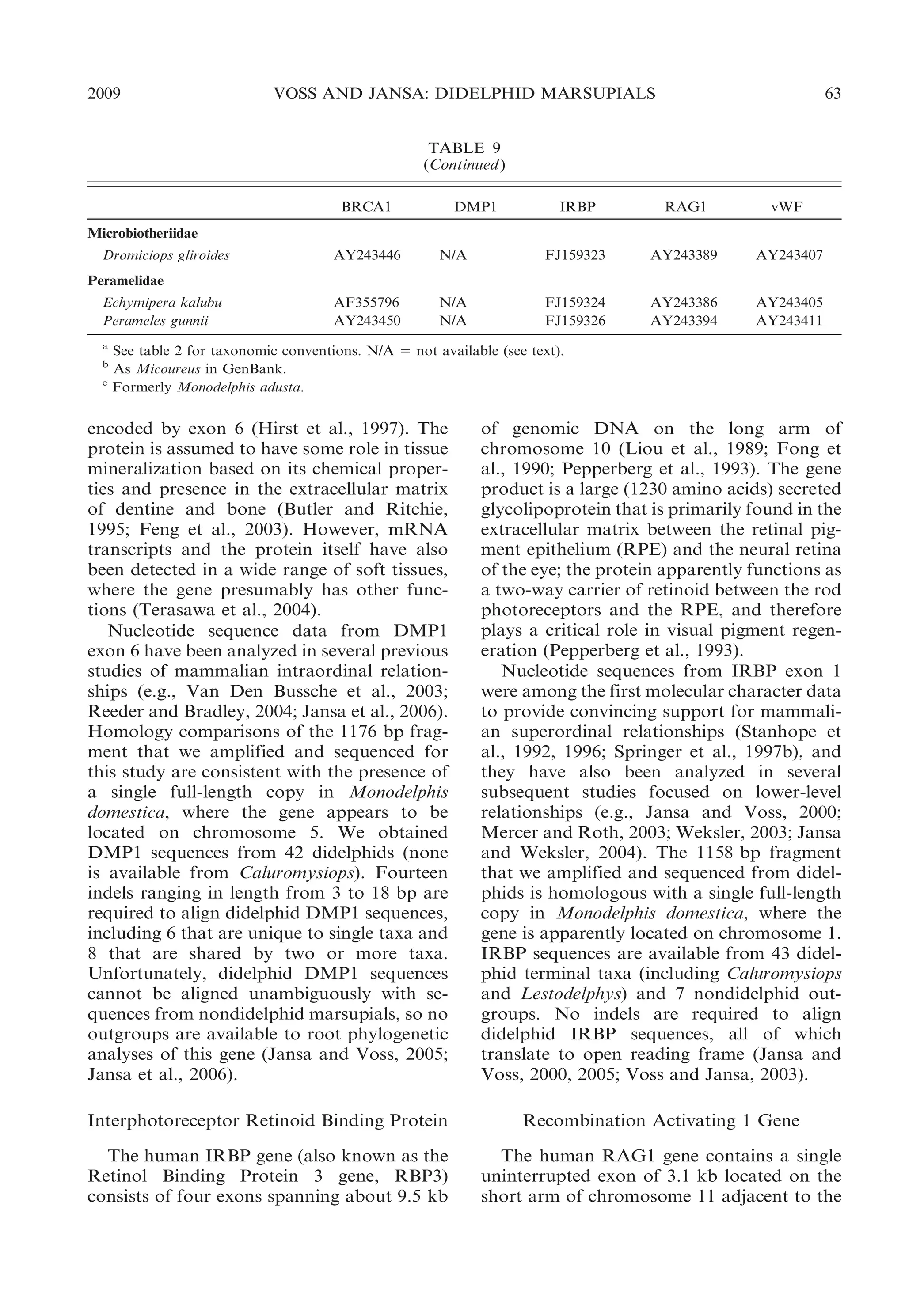 2009

VOSS AND JANSA: DIDELPHID MARSUPIALS

63

TABLE 9
(Continued )
BRCA1

DMP1

IRBP

RAG1

vWF

Microbiotheriidae
Dromiciops gliroides

AY243446

N/A

FJ159323

AY243389

AY243407

AF355796
AY243450

N/A
N/A

FJ159324
FJ159326

AY243386
AY243394

AY243405
AY243411

Peramelidae
Echymipera kalubu
Perameles gunnii
a
b
c

See table 2 for taxonomic conventions. N/A 5 not available (see text).
As Micoureus in GenBank.
Formerly Monodelphis adusta.

encoded by exon 6 (Hirst et al., 1997). The
protein is assumed to have some role in tissue
mineralization based on its chemical properties and presence in the extracellular matrix
of dentine and bone (Butler and Ritchie,
1995; Feng et al., 2003). However, mRNA
transcripts and the protein itself have also
been detected in a wide range of soft tissues,
where the gene presumably has other functions (Terasawa et al., 2004).
Nucleotide sequence data from DMP1
exon 6 have been analyzed in several previous
studies of mammalian intraordinal relationships (e.g., Van Den Bussche et al., 2003;
Reeder and Bradley, 2004; Jansa et al., 2006).
Homology comparisons of the 1176 bp fragment that we amplified and sequenced for
this study are consistent with the presence of
a single full-length copy in Monodelphis
domestica, where the gene appears to be
located on chromosome 5. We obtained
DMP1 sequences from 42 didelphids (none
is available from Caluromysiops). Fourteen
indels ranging in length from 3 to 18 bp are
required to align didelphid DMP1 sequences,
including 6 that are unique to single taxa and
8 that are shared by two or more taxa.
Unfortunately, didelphid DMP1 sequences
cannot be aligned unambiguously with sequences from nondidelphid marsupials, so no
outgroups are available to root phylogenetic
analyses of this gene (Jansa and Voss, 2005;
Jansa et al., 2006).

of genomic DNA on the long arm of
chromosome 10 (Liou et al., 1989; Fong et
al., 1990; Pepperberg et al., 1993). The gene
product is a large (1230 amino acids) secreted
glycolipoprotein that is primarily found in the
extracellular matrix between the retinal pigment epithelium (RPE) and the neural retina
of the eye; the protein apparently functions as
a two-way carrier of retinoid between the rod
photoreceptors and the RPE, and therefore
plays a critical role in visual pigment regeneration (Pepperberg et al., 1993).
Nucleotide sequences from IRBP exon 1
were among the first molecular character data
to provide convincing support for mammalian superordinal relationships (Stanhope et
al., 1992, 1996; Springer et al., 1997b), and
they have also been analyzed in several
subsequent studies focused on lower-level
relationships (e.g., Jansa and Voss, 2000;
Mercer and Roth, 2003; Weksler, 2003; Jansa
and Weksler, 2004). The 1158 bp fragment
that we amplified and sequenced from didelphids is homologous with a single full-length
copy in Monodelphis domestica, where the
gene is apparently located on chromosome 1.
IRBP sequences are available from 43 didelphid terminal taxa (including Caluromysiops
and Lestodelphys) and 7 nondidelphid outgroups. No indels are required to align
didelphid IRBP sequences, all of which
translate to open reading frame (Jansa and
Voss, 2000, 2005; Voss and Jansa, 2003).

Interphotoreceptor Retinoid Binding Protein

Recombination Activating 1 Gene

The human IRBP gene (also known as the
Retinol Binding Protein 3 gene, RBP3)
consists of four exons spanning about 9.5 kb

The human RAG1 gene contains a single
uninterrupted exon of 3.1 kb located on the
short arm of chromosome 11 adjacent to the

 