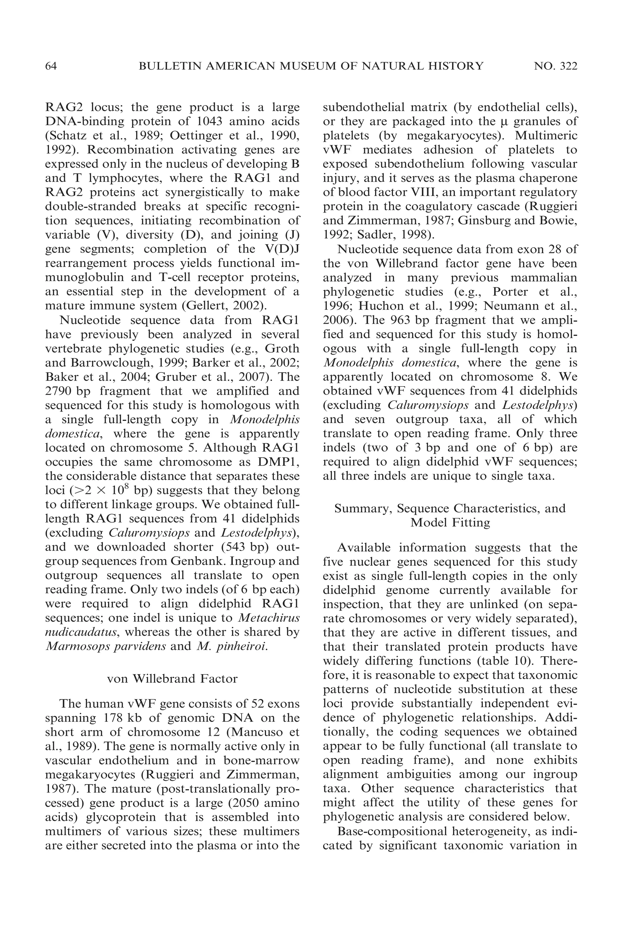 64

BULLETIN AMERICAN MUSEUM OF NATURAL HISTORY

RAG2 locus; the gene product is a large
DNA-binding protein of 1043 amino acids
(Schatz et al., 1989; Oettinger et al., 1990,
1992). Recombination activating genes are
expressed only in the nucleus of developing B
and T lymphocytes, where the RAG1 and
RAG2 proteins act synergistically to make
double-stranded breaks at specific recognition sequences, initiating recombination of
variable (V), diversity (D), and joining (J)
gene segments; completion of the V(D)J
rearrangement process yields functional immunoglobulin and T-cell receptor proteins,
an essential step in the development of a
mature immune system (Gellert, 2002).
Nucleotide sequence data from RAG1
have previously been analyzed in several
vertebrate phylogenetic studies (e.g., Groth
and Barrowclough, 1999; Barker et al., 2002;
Baker et al., 2004; Gruber et al., 2007). The
2790 bp fragment that we amplified and
sequenced for this study is homologous with
a single full-length copy in Monodelphis
domestica, where the gene is apparently
located on chromosome 5. Although RAG1
occupies the same chromosome as DMP1,
the considerable distance that separates these
loci (.2 3 108 bp) suggests that they belong
to different linkage groups. We obtained fulllength RAG1 sequences from 41 didelphids
(excluding Caluromysiops and Lestodelphys),
and we downloaded shorter (543 bp) outgroup sequences from Genbank. Ingroup and
outgroup sequences all translate to open
reading frame. Only two indels (of 6 bp each)
were required to align didelphid RAG1
sequences; one indel is unique to Metachirus
nudicaudatus, whereas the other is shared by
Marmosops parvidens and M. pinheiroi.
von Willebrand Factor
The human vWF gene consists of 52 exons
spanning 178 kb of genomic DNA on the
short arm of chromosome 12 (Mancuso et
al., 1989). The gene is normally active only in
vascular endothelium and in bone-marrow
megakaryocytes (Ruggieri and Zimmerman,
1987). The mature (post-translationally processed) gene product is a large (2050 amino
acids) glycoprotein that is assembled into
multimers of various sizes; these multimers
are either secreted into the plasma or into the

NO. 322

subendothelial matrix (by endothelial cells),
or they are packaged into the m granules of
platelets (by megakaryocytes). Multimeric
vWF mediates adhesion of platelets to
exposed subendothelium following vascular
injury, and it serves as the plasma chaperone
of blood factor VIII, an important regulatory
protein in the coagulatory cascade (Ruggieri
and Zimmerman, 1987; Ginsburg and Bowie,
1992; Sadler, 1998).
Nucleotide sequence data from exon 28 of
the von Willebrand factor gene have been
analyzed in many previous mammalian
phylogenetic studies (e.g., Porter et al.,
1996; Huchon et al., 1999; Neumann et al.,
2006). The 963 bp fragment that we amplified and sequenced for this study is homologous with a single full-length copy in
Monodelphis domestica, where the gene is
apparently located on chromosome 8. We
obtained vWF sequences from 41 didelphids
(excluding Caluromysiops and Lestodelphys)
and seven outgroup taxa, all of which
translate to open reading frame. Only three
indels (two of 3 bp and one of 6 bp) are
required to align didelphid vWF sequences;
all three indels are unique to single taxa.
Summary, Sequence Characteristics, and
Model Fitting
Available information suggests that the
five nuclear genes sequenced for this study
exist as single full-length copies in the only
didelphid genome currently available for
inspection, that they are unlinked (on separate chromosomes or very widely separated),
that they are active in different tissues, and
that their translated protein products have
widely differing functions (table 10). Therefore, it is reasonable to expect that taxonomic
patterns of nucleotide substitution at these
loci provide substantially independent evidence of phylogenetic relationships. Additionally, the coding sequences we obtained
appear to be fully functional (all translate to
open reading frame), and none exhibits
alignment ambiguities among our ingroup
taxa. Other sequence characteristics that
might affect the utility of these genes for
phylogenetic analysis are considered below.
Base-compositional heterogeneity, as indicated by significant taxonomic variation in

 