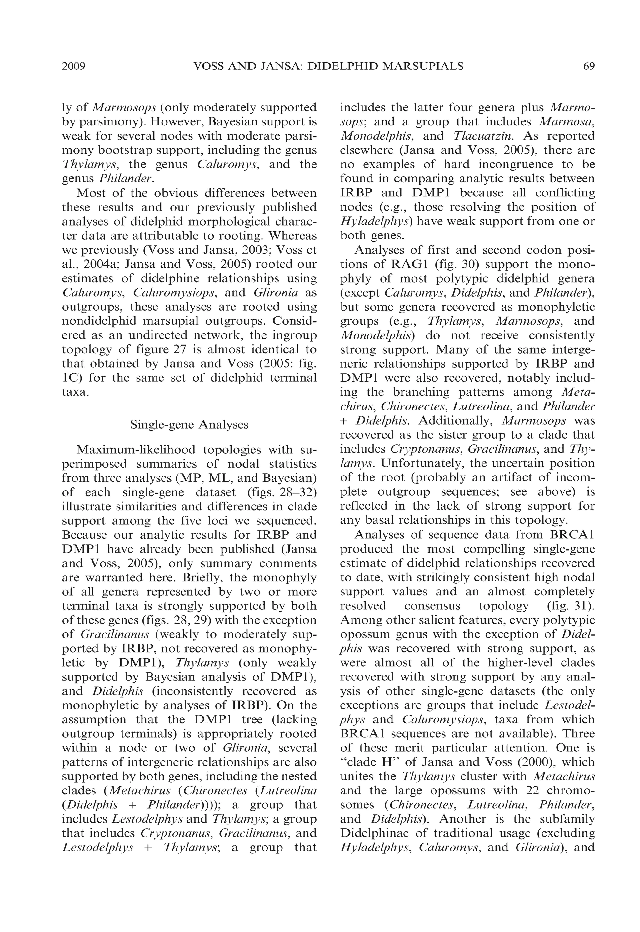 2009

VOSS AND JANSA: DIDELPHID MARSUPIALS

ly of Marmosops (only moderately supported
by parsimony). However, Bayesian support is
weak for several nodes with moderate parsimony bootstrap support, including the genus
Thylamys, the genus Caluromys, and the
genus Philander.
Most of the obvious differences between
these results and our previously published
analyses of didelphid morphological character data are attributable to rooting. Whereas
we previously (Voss and Jansa, 2003; Voss et
al., 2004a; Jansa and Voss, 2005) rooted our
estimates of didelphine relationships using
Caluromys, Caluromysiops, and Glironia as
outgroups, these analyses are rooted using
nondidelphid marsupial outgroups. Considered as an undirected network, the ingroup
topology of figure 27 is almost identical to
that obtained by Jansa and Voss (2005: fig.
1C) for the same set of didelphid terminal
taxa.
Single-gene Analyses
Maximum-likelihood topologies with superimposed summaries of nodal statistics
from three analyses (MP, ML, and Bayesian)
of each single-gene dataset (figs. 28–32)
illustrate similarities and differences in clade
support among the five loci we sequenced.
Because our analytic results for IRBP and
DMP1 have already been published (Jansa
and Voss, 2005), only summary comments
are warranted here. Briefly, the monophyly
of all genera represented by two or more
terminal taxa is strongly supported by both
of these genes (figs. 28, 29) with the exception
of Gracilinanus (weakly to moderately supported by IRBP, not recovered as monophyletic by DMP1), Thylamys (only weakly
supported by Bayesian analysis of DMP1),
and Didelphis (inconsistently recovered as
monophyletic by analyses of IRBP). On the
assumption that the DMP1 tree (lacking
outgroup terminals) is appropriately rooted
within a node or two of Glironia, several
patterns of intergeneric relationships are also
supported by both genes, including the nested
clades (Metachirus (Chironectes (Lutreolina
(Didelphis + Philander)))); a group that
includes Lestodelphys and Thylamys; a group
that includes Cryptonanus, Gracilinanus, and
Lestodelphys + Thylamys; a group that

69

includes the latter four genera plus Marmosops; and a group that includes Marmosa,
Monodelphis, and Tlacuatzin. As reported
elsewhere (Jansa and Voss, 2005), there are
no examples of hard incongruence to be
found in comparing analytic results between
IRBP and DMP1 because all conflicting
nodes (e.g., those resolving the position of
Hyladelphys) have weak support from one or
both genes.
Analyses of first and second codon positions of RAG1 (fig. 30) support the monophyly of most polytypic didelphid genera
(except Caluromys, Didelphis, and Philander),
but some genera recovered as monophyletic
groups (e.g., Thylamys, Marmosops, and
Monodelphis) do not receive consistently
strong support. Many of the same intergeneric relationships supported by IRBP and
DMP1 were also recovered, notably including the branching patterns among Metachirus, Chironectes, Lutreolina, and Philander
+ Didelphis. Additionally, Marmosops was
recovered as the sister group to a clade that
includes Cryptonanus, Gracilinanus, and Thylamys. Unfortunately, the uncertain position
of the root (probably an artifact of incomplete outgroup sequences; see above) is
reflected in the lack of strong support for
any basal relationships in this topology.
Analyses of sequence data from BRCA1
produced the most compelling single-gene
estimate of didelphid relationships recovered
to date, with strikingly consistent high nodal
support values and an almost completely
resolved consensus topology (fig. 31).
Among other salient features, every polytypic
opossum genus with the exception of Didelphis was recovered with strong support, as
were almost all of the higher-level clades
recovered with strong support by any analysis of other single-gene datasets (the only
exceptions are groups that include Lestodelphys and Caluromysiops, taxa from which
BRCA1 sequences are not available). Three
of these merit particular attention. One is
‘‘clade H’’ of Jansa and Voss (2000), which
unites the Thylamys cluster with Metachirus
and the large opossums with 22 chromosomes (Chironectes, Lutreolina, Philander,
and Didelphis). Another is the subfamily
Didelphinae of traditional usage (excluding
Hyladelphys, Caluromys, and Glironia), and

 