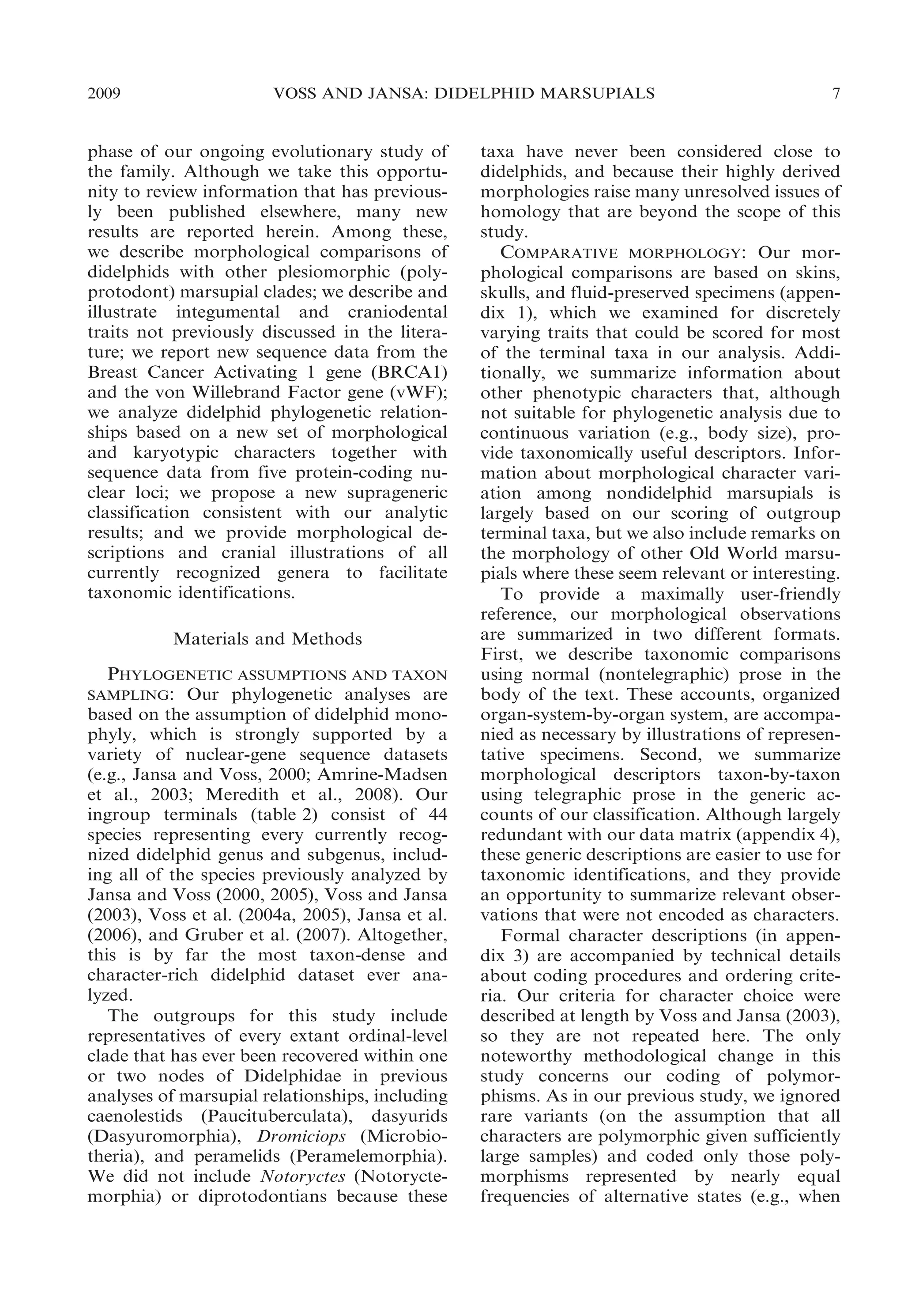2009

VOSS AND JANSA: DIDELPHID MARSUPIALS

phase of our ongoing evolutionary study of
the family. Although we take this opportunity to review information that has previously been published elsewhere, many new
results are reported herein. Among these,
we describe morphological comparisons of
didelphids with other plesiomorphic (polyprotodont) marsupial clades; we describe and
illustrate integumental and craniodental
traits not previously discussed in the literature; we report new sequence data from the
Breast Cancer Activating 1 gene (BRCA1)
and the von Willebrand Factor gene (vWF);
we analyze didelphid phylogenetic relationships based on a new set of morphological
and karyotypic characters together with
sequence data from five protein-coding nuclear loci; we propose a new suprageneric
classification consistent with our analytic
results; and we provide morphological descriptions and cranial illustrations of all
currently recognized genera to facilitate
taxonomic identifications.
Materials and Methods

PHYLOGENETIC ASSUMPTIONS AND TAXON
SAMPLING: Our phylogenetic analyses are
based on the assumption of didelphid monophyly, which is strongly supported by a
variety of nuclear-gene sequence datasets
(e.g., Jansa and Voss, 2000; Amrine-Madsen
et al., 2003; Meredith et al., 2008). Our
ingroup terminals (table 2) consist of 44
species representing every currently recognized didelphid genus and subgenus, including all of the species previously analyzed by
Jansa and Voss (2000, 2005), Voss and Jansa
(2003), Voss et al. (2004a, 2005), Jansa et al.
(2006), and Gruber et al. (2007). Altogether,
this is by far the most taxon-dense and
character-rich didelphid dataset ever analyzed.
The outgroups for this study include
representatives of every extant ordinal-level
clade that has ever been recovered within one
or two nodes of Didelphidae in previous
analyses of marsupial relationships, including
caenolestids (Paucituberculata), dasyurids
(Dasyuromorphia), Dromiciops (Microbiotheria), and peramelids (Peramelemorphia).
We did not include Notoryctes (Notoryctemorphia) or diprotodontians because these

7

taxa have never been considered close to
didelphids, and because their highly derived
morphologies raise many unresolved issues of
homology that are beyond the scope of this
study.
COMPARATIVE MORPHOLOGY: Our morphological comparisons are based on skins,
skulls, and fluid-preserved specimens (appendix 1), which we examined for discretely
varying traits that could be scored for most
of the terminal taxa in our analysis. Additionally, we summarize information about
other phenotypic characters that, although
not suitable for phylogenetic analysis due to
continuous variation (e.g., body size), provide taxonomically useful descriptors. Information about morphological character variation among nondidelphid marsupials is
largely based on our scoring of outgroup
terminal taxa, but we also include remarks on
the morphology of other Old World marsupials where these seem relevant or interesting.
To provide a maximally user-friendly
reference, our morphological observations
are summarized in two different formats.
First, we describe taxonomic comparisons
using normal (nontelegraphic) prose in the
body of the text. These accounts, organized
organ-system-by-organ system, are accompanied as necessary by illustrations of representative specimens. Second, we summarize
morphological descriptors taxon-by-taxon
using telegraphic prose in the generic accounts of our classification. Although largely
redundant with our data matrix (appendix 4),
these generic descriptions are easier to use for
taxonomic identifications, and they provide
an opportunity to summarize relevant observations that were not encoded as characters.
Formal character descriptions (in appendix 3) are accompanied by technical details
about coding procedures and ordering criteria. Our criteria for character choice were
described at length by Voss and Jansa (2003),
so they are not repeated here. The only
noteworthy methodological change in this
study concerns our coding of polymorphisms. As in our previous study, we ignored
rare variants (on the assumption that all
characters are polymorphic given sufficiently
large samples) and coded only those polymorphisms represented by nearly equal
frequencies of alternative states (e.g., when

 