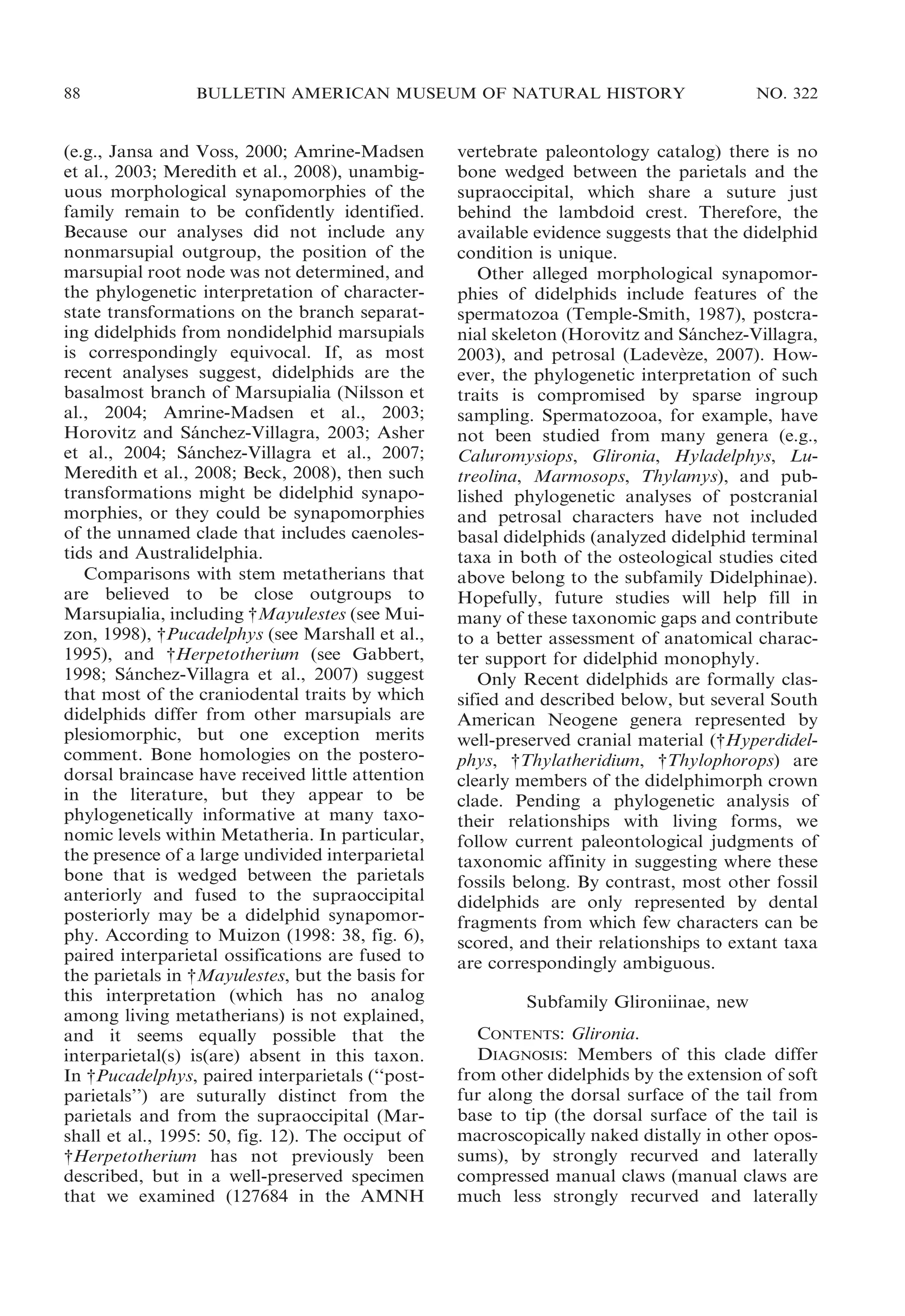 88

BULLETIN AMERICAN MUSEUM OF NATURAL HISTORY

(e.g., Jansa and Voss, 2000; Amrine-Madsen
et al., 2003; Meredith et al., 2008), unambiguous morphological synapomorphies of the
family remain to be confidently identified.
Because our analyses did not include any
nonmarsupial outgroup, the position of the
marsupial root node was not determined, and
the phylogenetic interpretation of characterstate transformations on the branch separating didelphids from nondidelphid marsupials
is correspondingly equivocal. If, as most
recent analyses suggest, didelphids are the
basalmost branch of Marsupialia (Nilsson et
al., 2004; Amrine-Madsen et al., 2003;
Horovitz and Sanchez-Villagra, 2003; Asher
´
et al., 2004; Sanchez-Villagra et al., 2007;
´
Meredith et al., 2008; Beck, 2008), then such
transformations might be didelphid synapomorphies, or they could be synapomorphies
of the unnamed clade that includes caenolestids and Australidelphia.
Comparisons with stem metatherians that
are believed to be close outgroups to
Marsupialia, including {Mayulestes (see Muizon, 1998), {Pucadelphys (see Marshall et al.,
1995), and {Herpetotherium (see Gabbert,
1998; Sanchez-Villagra et al., 2007) suggest
´
that most of the craniodental traits by which
didelphids differ from other marsupials are
plesiomorphic, but one exception merits
comment. Bone homologies on the posterodorsal braincase have received little attention
in the literature, but they appear to be
phylogenetically informative at many taxonomic levels within Metatheria. In particular,
the presence of a large undivided interparietal
bone that is wedged between the parietals
anteriorly and fused to the supraoccipital
posteriorly may be a didelphid synapomorphy. According to Muizon (1998: 38, fig. 6),
paired interparietal ossifications are fused to
the parietals in {Mayulestes, but the basis for
this interpretation (which has no analog
among living metatherians) is not explained,
and it seems equally possible that the
interparietal(s) is(are) absent in this taxon.
In {Pucadelphys, paired interparietals (‘‘postparietals’’) are suturally distinct from the
parietals and from the supraoccipital (Marshall et al., 1995: 50, fig. 12). The occiput of
{Herpetotherium has not previously been
described, but in a well-preserved specimen
that we examined (127684 in the AMNH

NO. 322

vertebrate paleontology catalog) there is no
bone wedged between the parietals and the
supraoccipital, which share a suture just
behind the lambdoid crest. Therefore, the
available evidence suggests that the didelphid
condition is unique.
Other alleged morphological synapomorphies of didelphids include features of the
spermatozoa (Temple-Smith, 1987), postcranial skeleton (Horovitz and Sanchez-Villagra,
´
2003), and petrosal (Ladeveze, 2007). How`
ever, the phylogenetic interpretation of such
traits is compromised by sparse ingroup
sampling. Spermatozooa, for example, have
not been studied from many genera (e.g.,
Caluromysiops, Glironia, Hyladelphys, Lutreolina, Marmosops, Thylamys), and published phylogenetic analyses of postcranial
and petrosal characters have not included
basal didelphids (analyzed didelphid terminal
taxa in both of the osteological studies cited
above belong to the subfamily Didelphinae).
Hopefully, future studies will help fill in
many of these taxonomic gaps and contribute
to a better assessment of anatomical character support for didelphid monophyly.
Only Recent didelphids are formally classified and described below, but several South
American Neogene genera represented by
well-preserved cranial material ({Hyperdidelphys, {Thylatheridium, {Thylophorops) are
clearly members of the didelphimorph crown
clade. Pending a phylogenetic analysis of
their relationships with living forms, we
follow current paleontological judgments of
taxonomic affinity in suggesting where these
fossils belong. By contrast, most other fossil
didelphids are only represented by dental
fragments from which few characters can be
scored, and their relationships to extant taxa
are correspondingly ambiguous.
Subfamily Glironiinae, new
CONTENTS: Glironia.
DIAGNOSIS: Members of this clade differ
from other didelphids by the extension of soft
fur along the dorsal surface of the tail from
base to tip (the dorsal surface of the tail is
macroscopically naked distally in other opossums), by strongly recurved and laterally
compressed manual claws (manual claws are
much less strongly recurved and laterally

 