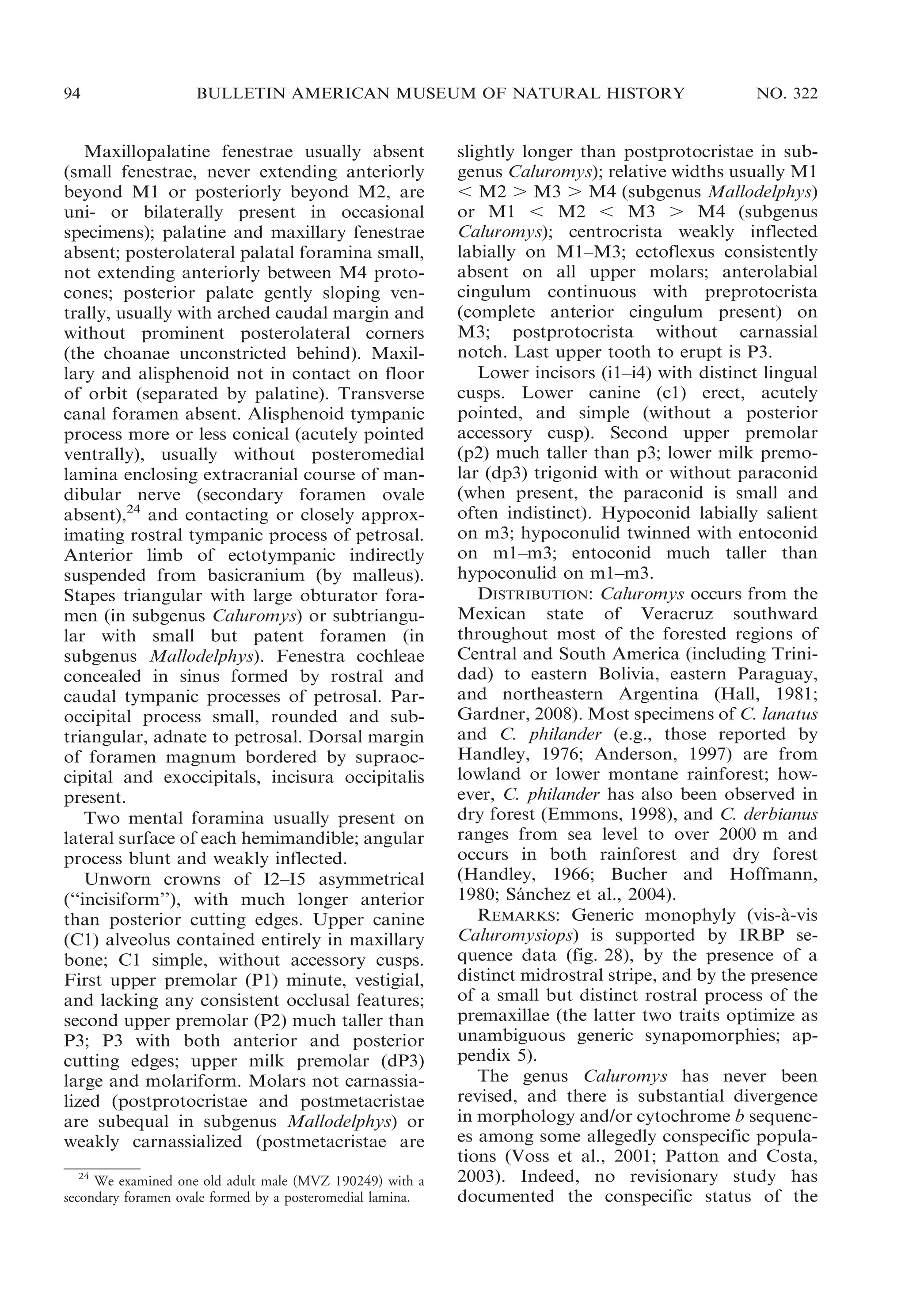 94

BULLETIN AMERICAN MUSEUM OF NATURAL HISTORY

Maxillopalatine fenestrae usually absent
(small fenestrae, never extending anteriorly
beyond M1 or posteriorly beyond M2, are
uni- or bilaterally present in occasional
specimens); palatine and maxillary fenestrae
absent; posterolateral palatal foramina small,
not extending anteriorly between M4 protocones; posterior palate gently sloping ventrally, usually with arched caudal margin and
without prominent posterolateral corners
(the choanae unconstricted behind). Maxillary and alisphenoid not in contact on floor
of orbit (separated by palatine). Transverse
canal foramen absent. Alisphenoid tympanic
process more or less conical (acutely pointed
ventrally), usually without posteromedial
lamina enclosing extracranial course of mandibular nerve (secondary foramen ovale
absent),24 and contacting or closely approximating rostral tympanic process of petrosal.
Anterior limb of ectotympanic indirectly
suspended from basicranium (by malleus).
Stapes triangular with large obturator foramen (in subgenus Caluromys) or subtriangular with small but patent foramen (in
subgenus Mallodelphys). Fenestra cochleae
concealed in sinus formed by rostral and
caudal tympanic processes of petrosal. Paroccipital process small, rounded and subtriangular, adnate to petrosal. Dorsal margin
of foramen magnum bordered by supraoccipital and exoccipitals, incisura occipitalis
present.
Two mental foramina usually present on
lateral surface of each hemimandible; angular
process blunt and weakly inflected.
Unworn crowns of I2–I5 asymmetrical
(‘‘incisiform’’), with much longer anterior
than posterior cutting edges. Upper canine
(C1) alveolus contained entirely in maxillary
bone; C1 simple, without accessory cusps.
First upper premolar (P1) minute, vestigial,
and lacking any consistent occlusal features;
second upper premolar (P2) much taller than
P3; P3 with both anterior and posterior
cutting edges; upper milk premolar (dP3)
large and molariform. Molars not carnassialized (postprotocristae and postmetacristae
are subequal in subgenus Mallodelphys) or
weakly carnassialized (postmetacristae are
24
We examined one old adult male (MVZ 190249) with a
secondary foramen ovale formed by a posteromedial lamina.

NO. 322

slightly longer than postprotocristae in subgenus Caluromys); relative widths usually M1
, M2 . M3 . M4 (subgenus Mallodelphys)
or M1 , M2 , M3 . M4 (subgenus
Caluromys); centrocrista weakly inflected
labially on M1–M3; ectoflexus consistently
absent on all upper molars; anterolabial
cingulum continuous with preprotocrista
(complete anterior cingulum present) on
M3; postprotocrista without carnassial
notch. Last upper tooth to erupt is P3.
Lower incisors (i1–i4) with distinct lingual
cusps. Lower canine (c1) erect, acutely
pointed, and simple (without a posterior
accessory cusp). Second upper premolar
(p2) much taller than p3; lower milk premolar (dp3) trigonid with or without paraconid
(when present, the paraconid is small and
often indistinct). Hypoconid labially salient
on m3; hypoconulid twinned with entoconid
on m1–m3; entoconid much taller than
hypoconulid on m1–m3.
DISTRIBUTION: Caluromys occurs from the
Mexican state of Veracruz southward
throughout most of the forested regions of
Central and South America (including Trinidad) to eastern Bolivia, eastern Paraguay,
and northeastern Argentina (Hall, 1981;
Gardner, 2008). Most specimens of C. lanatus
and C. philander (e.g., those reported by
Handley, 1976; Anderson, 1997) are from
lowland or lower montane rainforest; however, C. philander has also been observed in
dry forest (Emmons, 1998), and C. derbianus
ranges from sea level to over 2000 m and
occurs in both rainforest and dry forest
(Handley, 1966; Bucher and Hoffmann,
1980; Sanchez et al., 2004).
´
`
REMARKS: Generic monophyly (vis-a-vis
Caluromysiops) is supported by IRBP sequence data (fig. 28), by the presence of a
distinct midrostral stripe, and by the presence
of a small but distinct rostral process of the
premaxillae (the latter two traits optimize as
unambiguous generic synapomorphies; appendix 5).
The genus Caluromys has never been
revised, and there is substantial divergence
in morphology and/or cytochrome b sequences among some allegedly conspecific populations (Voss et al., 2001; Patton and Costa,
2003). Indeed, no revisionary study has
documented the conspecific status of the

 