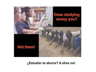 ¿Estudiar te aburre? A ellos no! 