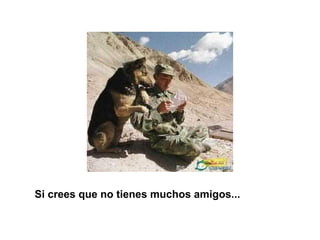 Si crees que no tienes muchos amigos...
 