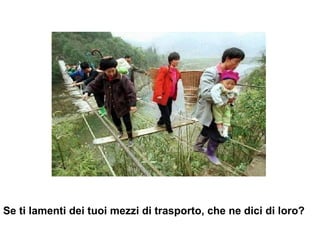 Se ti lamenti dei tuoi mezzi di trasporto, che ne dici di loro? 