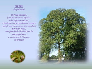 ORME   (la générosité)  De forme plaisante,  porte des vêtements élégants,  a des exigences modestes,  a tendance à ne pas pardonner les erreurs,  enjoué, aime mener mais n'aime pas obéir,  partenaire fidèle,  aime prendre des décisions pour les autres, généreux,  a un bon sens de l'humour,  est pratique. 