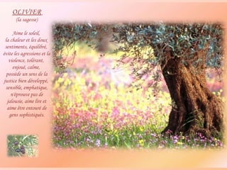 OLIVIER (la sagesse)  Aime le soleil,  la chaleur et les doux  sentiments, équilibré,  évite les agressions et la violence, tolérant,  enjoué, calme,  possède un sens de la justice bien développé,  sensible, emphatique, n'éprouve pas de jalousie, aime lire et aime être entouré de gens sophistiqués. 