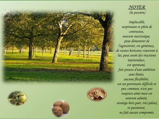 NOYER (la passion) Implacable,  surprenant et plein de contrastes,  souvent narcissique,  peut démontrer de l'agressivité, est généreux,  de vastes horizons s'ouvrent à lui, peut avoir des réactions inattendues,  est spontané,  fait preuve d'une ambition sans limite,  aucune flexibilité,  est un partenaire difficile et peu commun, n'est pas toujours aimé mais est souvent admiré,  stratège hors pair, très jaloux et passionné,  ne fait aucun compromis. 