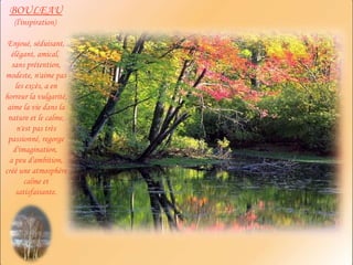 BOULEAU   (l'inspiration)  Enjoué, séduisant, élégant, amical,  sans prétention, modeste, n'aime pas les excès, a en horreur la vulgarité, aime la vie dans la nature et le calme, n'est pas très passionné, regorge d'imagination,  a peu d'ambition, créé une atmosphère calme et satisfaisante. 