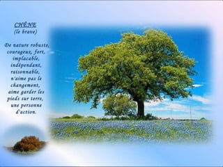 CHÊNE   (le brave)  De nature robuste, courageux, fort, implacable, indépendant, raisonnable,  n'aime pas le changement,  aime garder les pieds sur terre,  une personne d'action. 