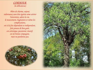 CORMIER   (la délicatesse) Plein de charme, enjoué,  talentueux sans être égoïste aime attirer l'attention, adore la vie,  le mouvement, l'agitation et même les complications,  est à la fois dépendant et indépendant,  fait preuve de bon goût,  est artistique, passionné, émotif,  est de bonne compagnie,  mais ne pardonne pas. 