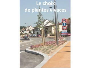 Le choix
de plantes vivaces
 