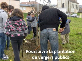 Poursuivre la plantation
de vergers publics
 