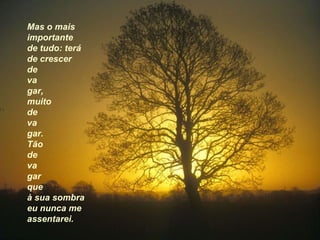 Mas o mais   importante de tudo: terá  de crescer  de va gar,  muito  de va gar. Tão  de va gar  que  à sua sombra  eu nunca me assentarei. 