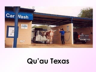 Qu’au Texas 