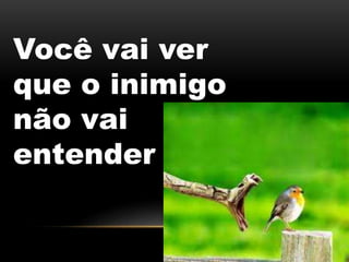 Você vai ver
que o inimigo
não vai
entender
 
