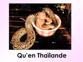 Qu’en Thaïlande 