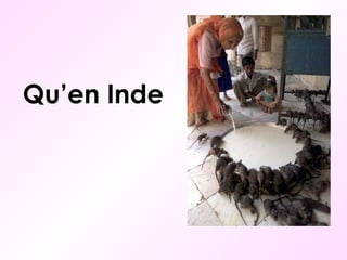 Qu’en Inde 