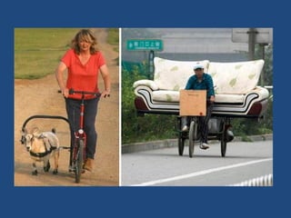 Vous pensez avoir_tout_vu_2__36_