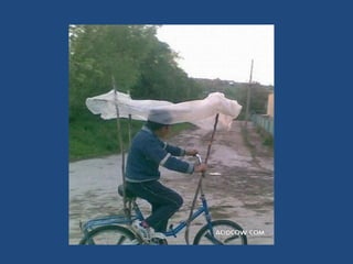 Vous pensez avoir_tout_vu_2__36_