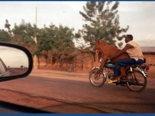 Vous pensez avoir_tout_vu_2__36_