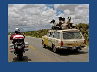 Vous pensez avoir_tout_vu_2__36_