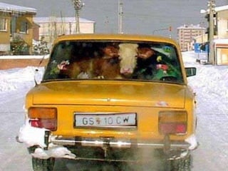 Vous pensez avoir_tout_vu_2__36_