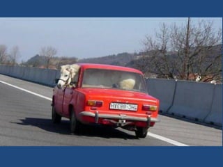 Vous pensez avoir_tout_vu_2__36_