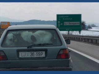 Vous pensez avoir_tout_vu_2__36_