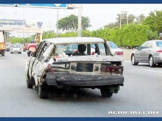 Vous pensez avoir_tout_vu_2__36_