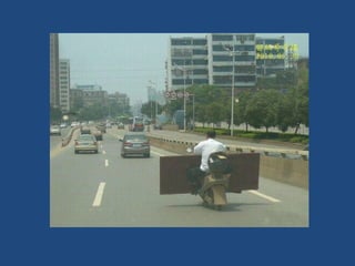 Vous pensez avoir_tout_vu_2__36_