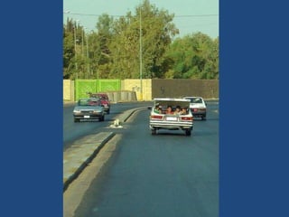 Vous pensez avoir_tout_vu_2__36_