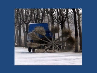 Vous pensez avoir_tout_vu_2__36_