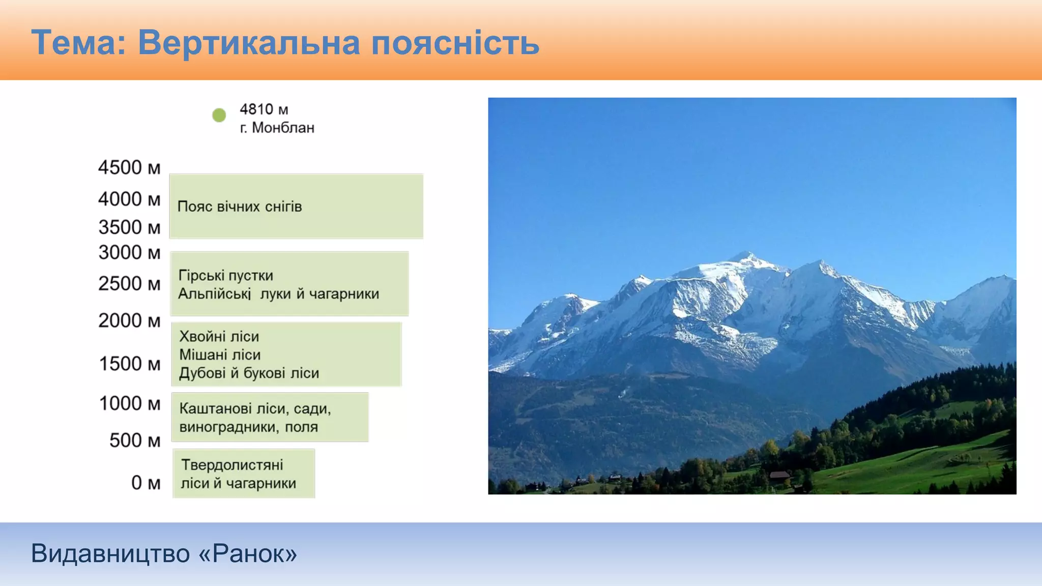Видавництво «Ранок»
Тема: Вертикальна поясність
 