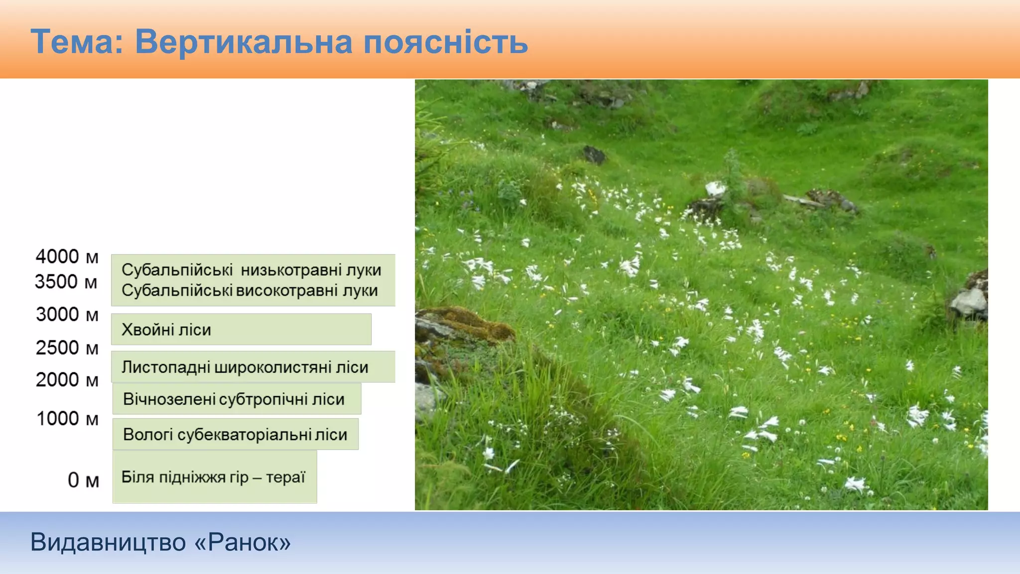 Видавництво «Ранок»
Тема: Вертикальна поясність
 