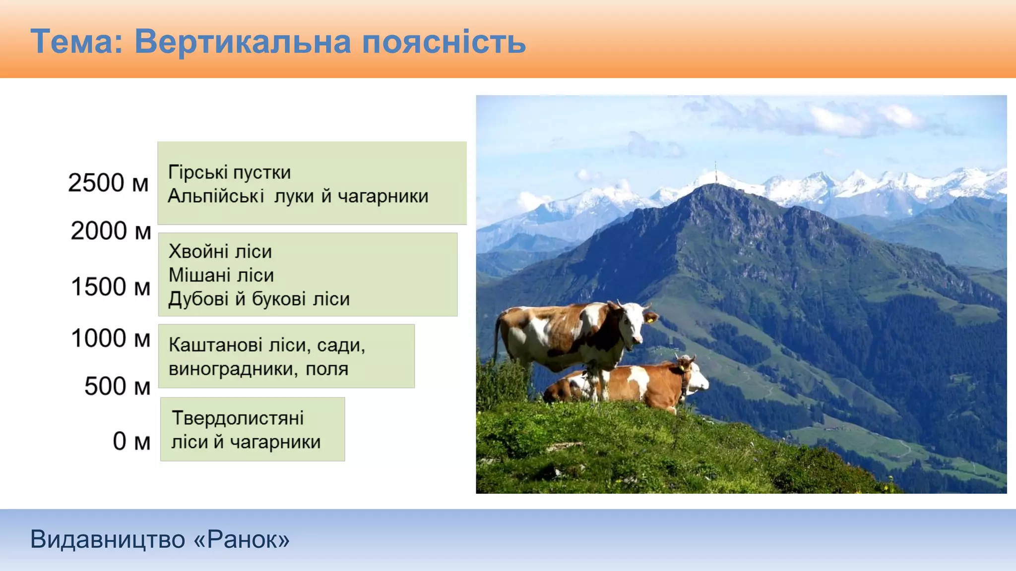 Видавництво «Ранок»
Тема: Вертикальна поясність
 