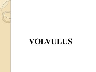 VOLVULUS
 
