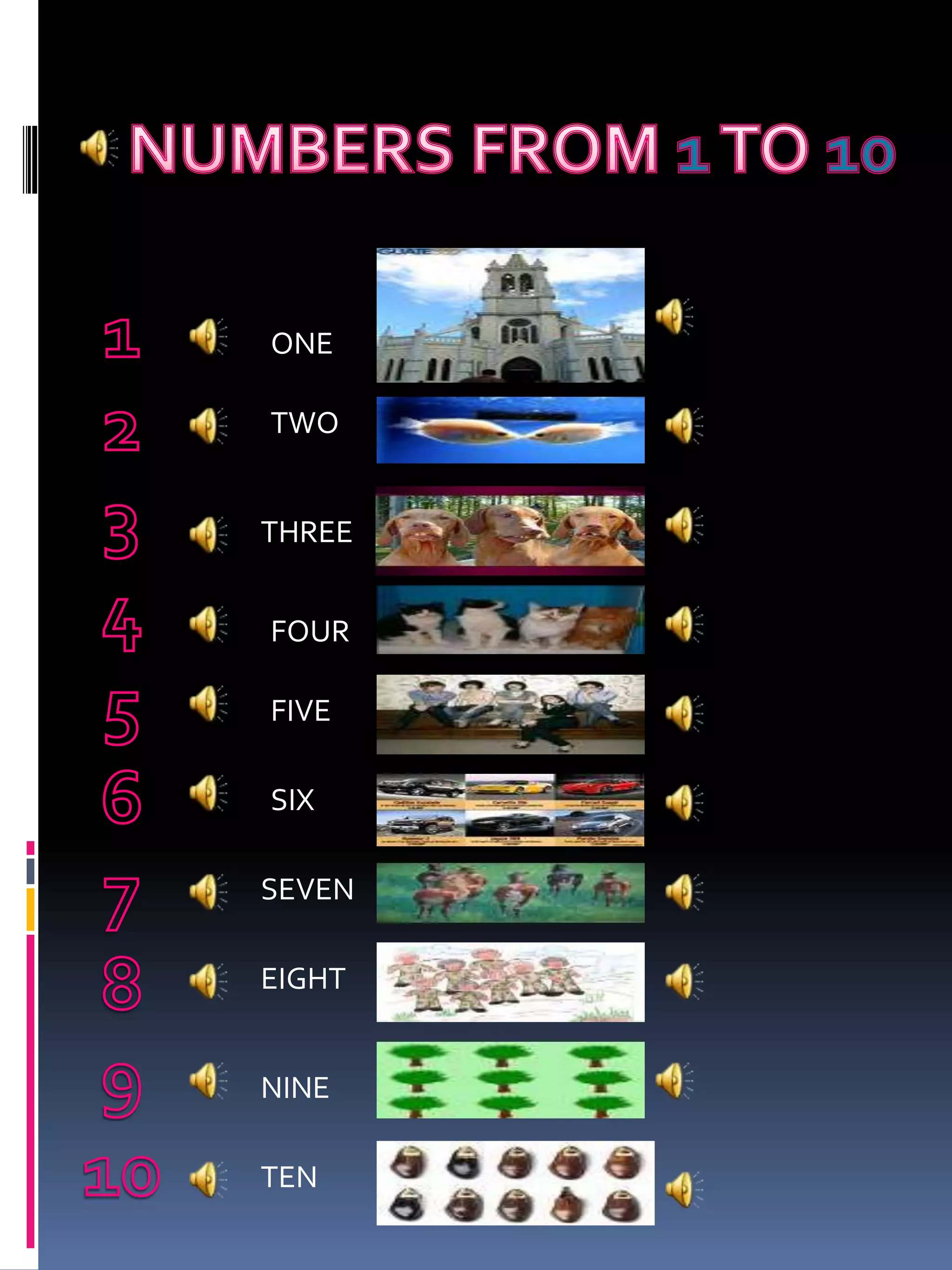 Basic Vocabulary In English Pptx