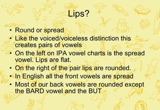 Lips?  Round or spread Like the voiced/voiceless distinction this creates pairs of vowels On the left on IPA vowel charts is the spread vowel. Lips are flat. On the right of the pair lips are rounded. In English all the front vowels are spread  Most of our back vowels are rounded except the BARD vowel and the BUT  