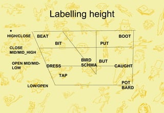 Labelling height HIGH/CLOSE CLOSE MID/MID_HIGH LOW/OPEN BEAT BIT DRESS TAP BOOT PUT CAUGHT BUT POT BARD  OPEN MID/MID-LOW BIRD SCHWA 