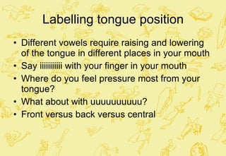 Labelling tongue position Different vowels require raising and lowering of the tongue in different places in your mouth Say iiiiiiiiiii with your finger in your mouth Where do you feel pressure most from your tongue? What about with uuuuuuuuuu? Front versus back versus central 