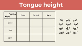 Vowel phonemes in the phonetic and phonology | PDF