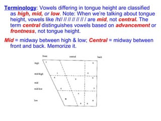 Terminology : Vowels differing in tongue height are classified as  high, mid,  or  low .  Note: When we’re talking about tongue height, vowels like /  /  /  /  /  /  /  / are  mid ,  not  central.  The term  central  distinguishes vowels based on  advancement  or  frontness , not tongue height. Mid  = midway between high & low;  Central  = midway between front and back. Memorize it. 